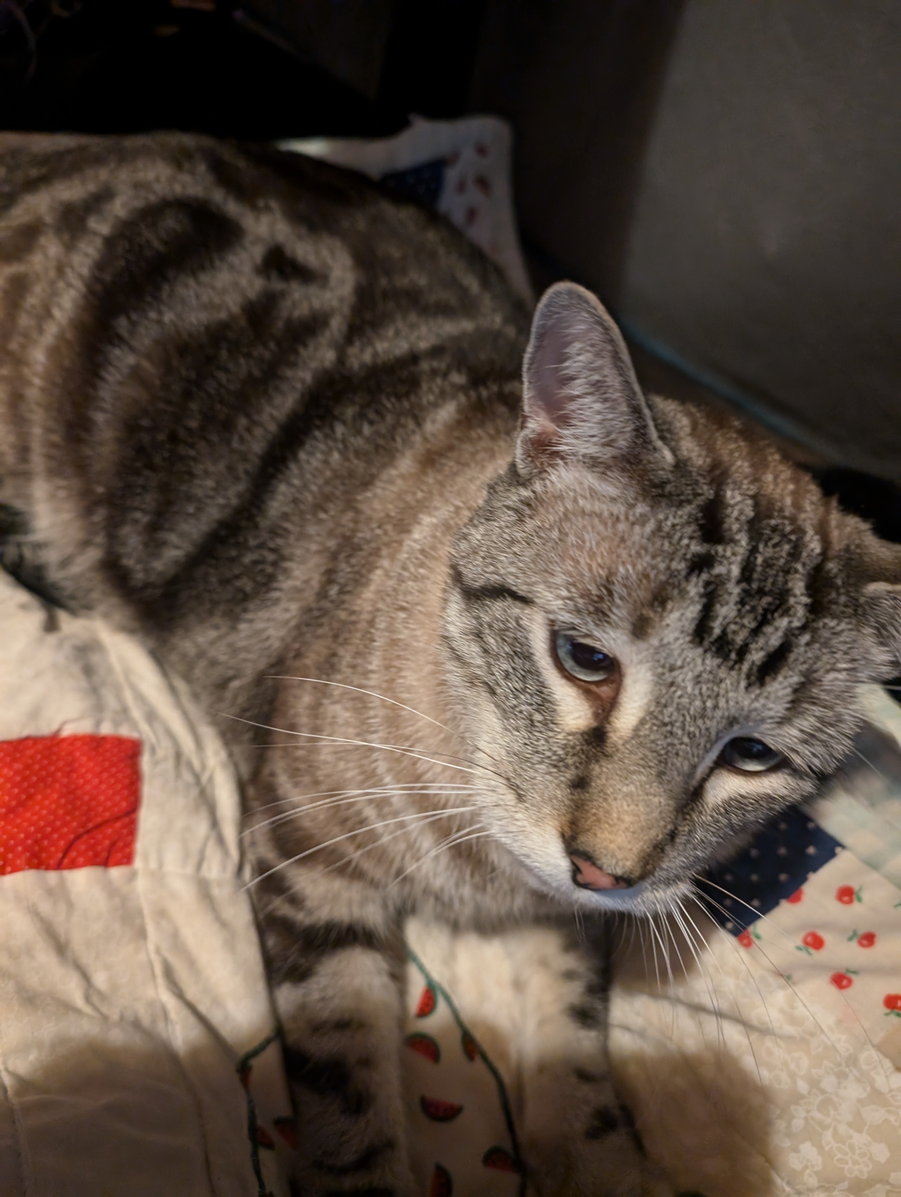 Atreyu's Surgery Fund campaign photo, 6 of 7