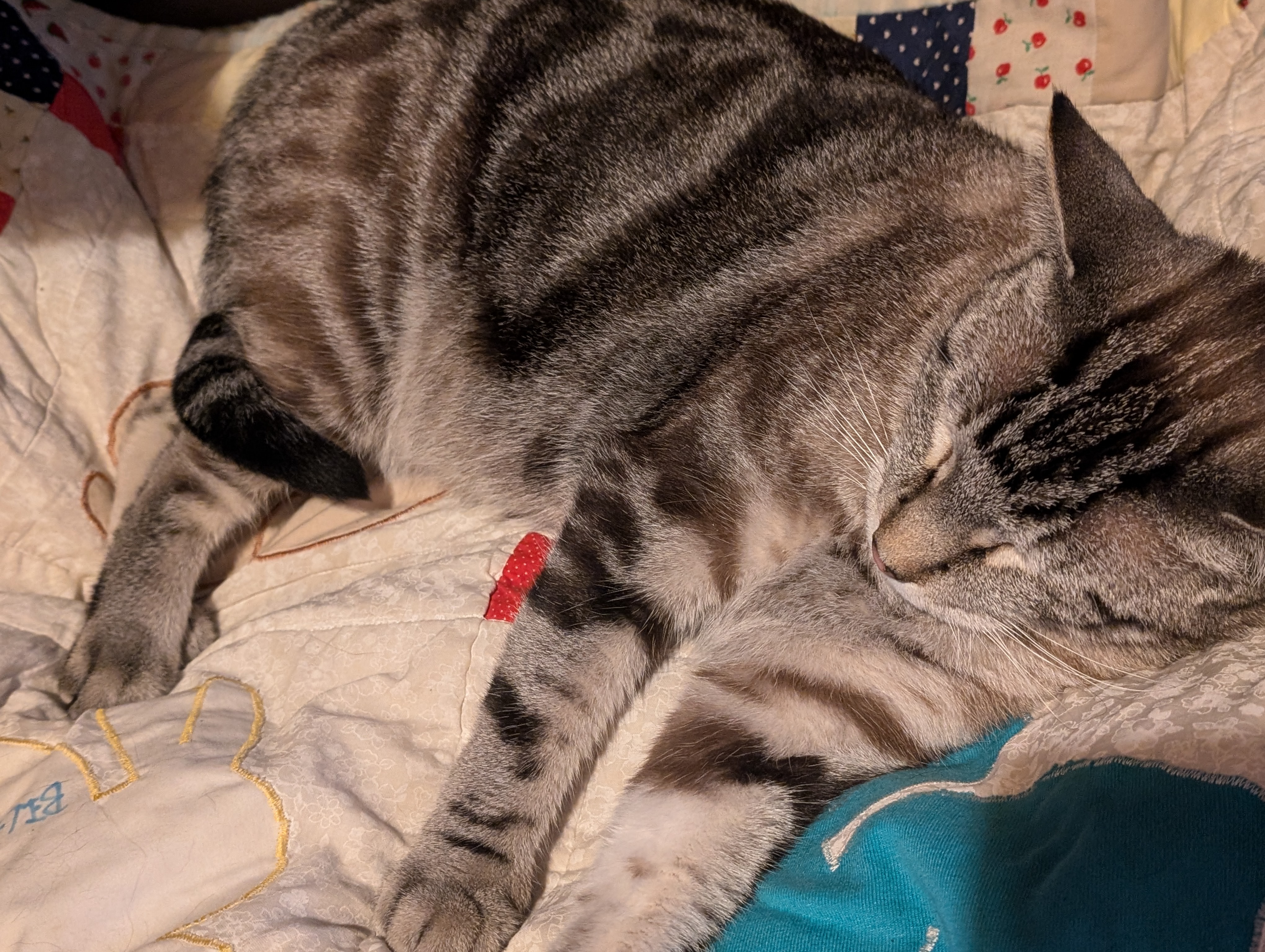 Atreyu's Surgery Fund campaign photo, 2 of 7