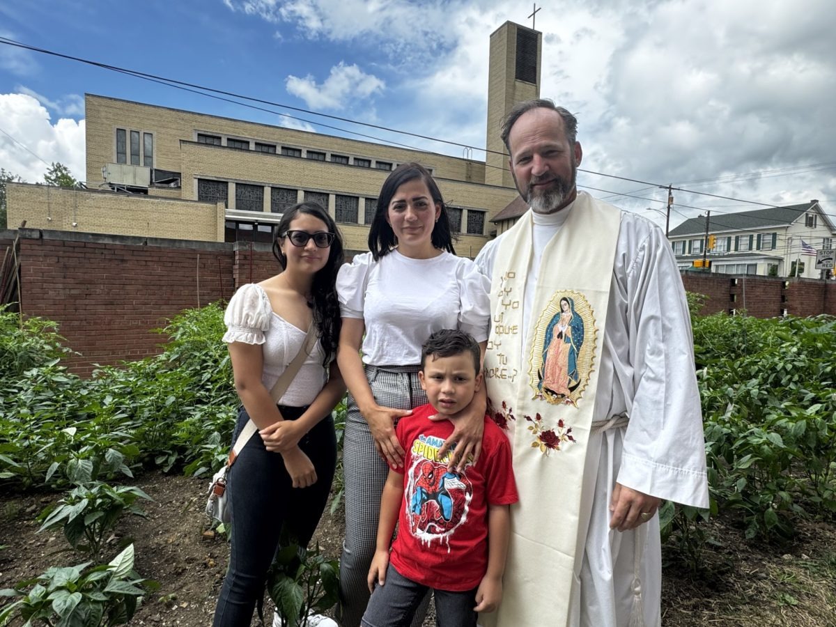 User-uploaded image 3