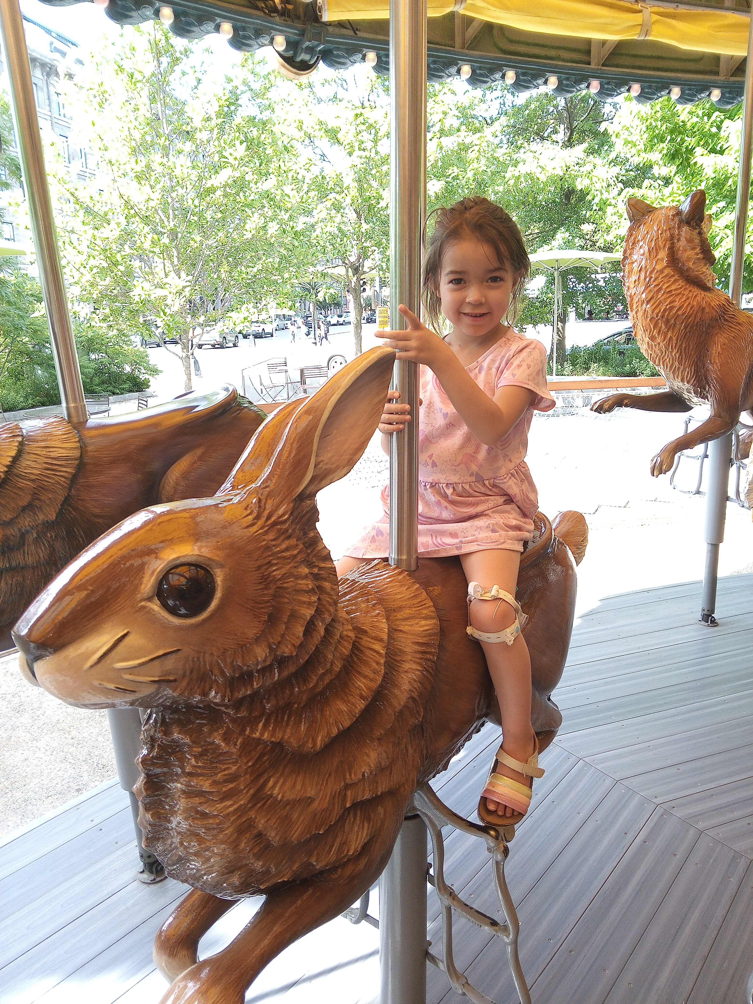 Help Alina during dialysis and upcoming kidney transplant. campaign photo, 8 of 9