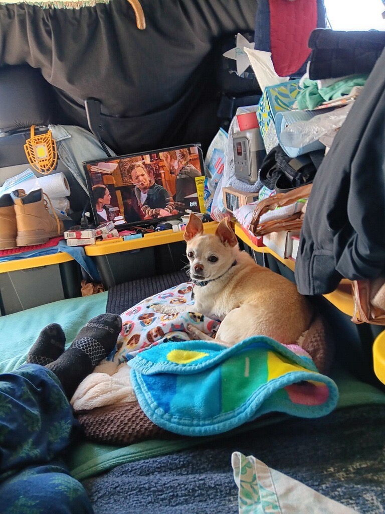 Help Viktor Get Urgent Medical Care campaign photo, 2 of 4