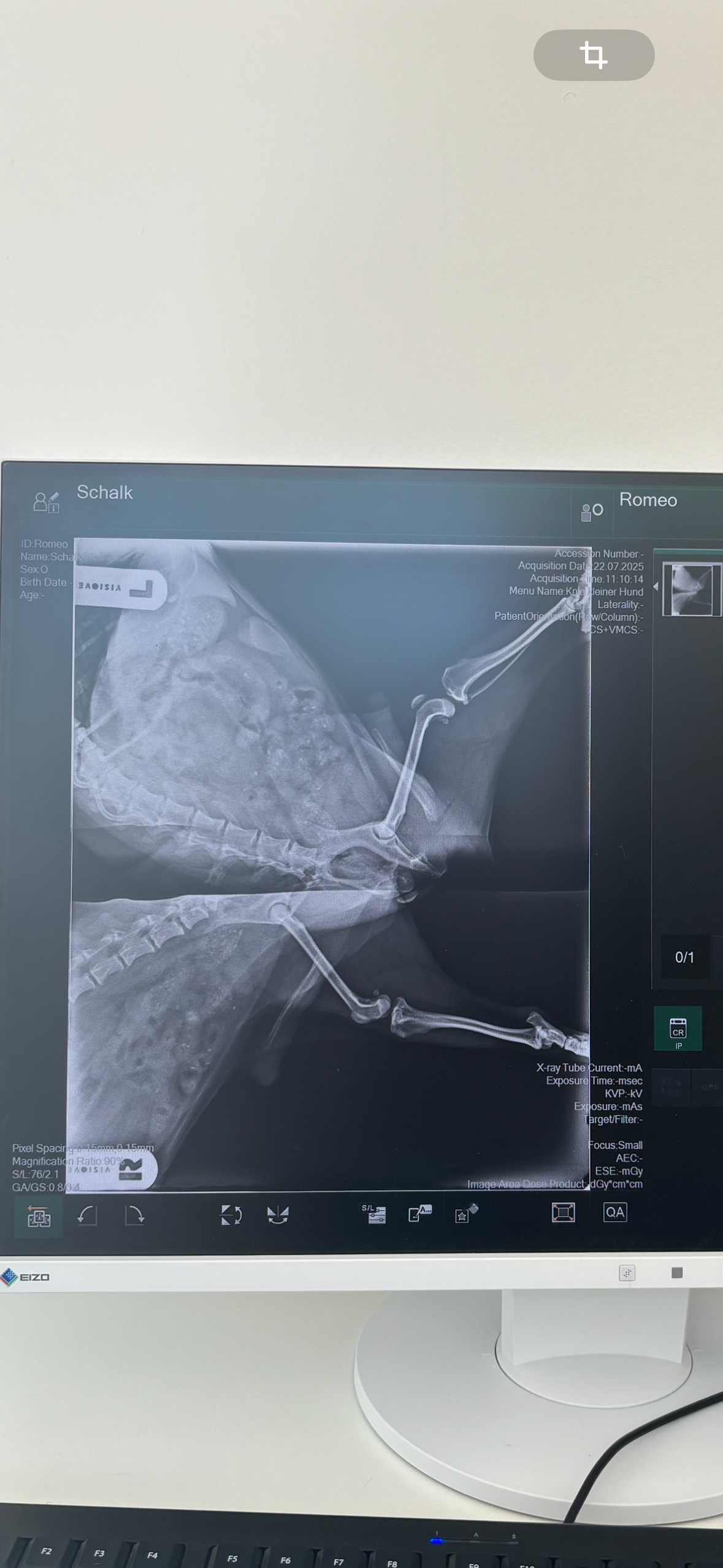 Romeos knee surgery: we need your help campaign photo, 4 of 8