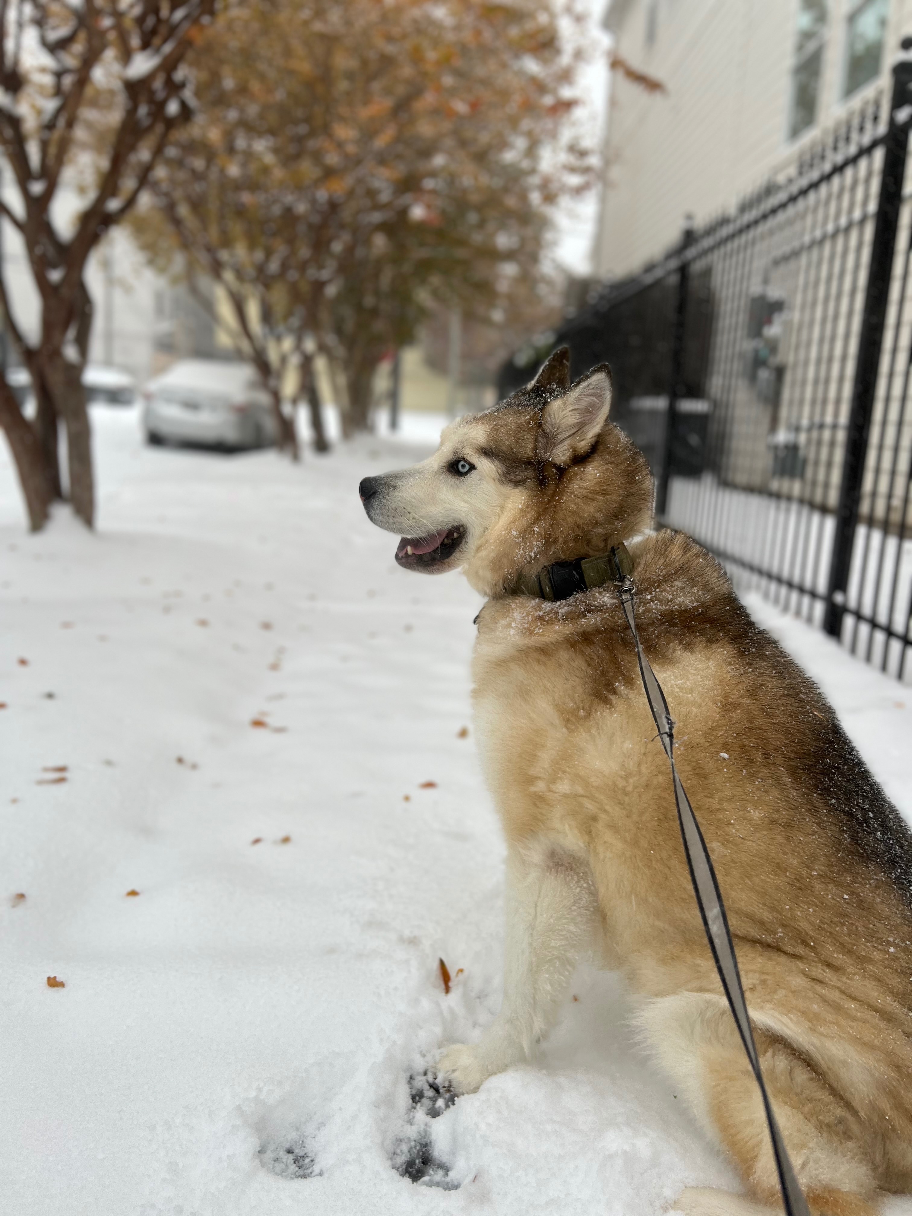 Winter’s journey to healing. campaign photo, 7 of 8