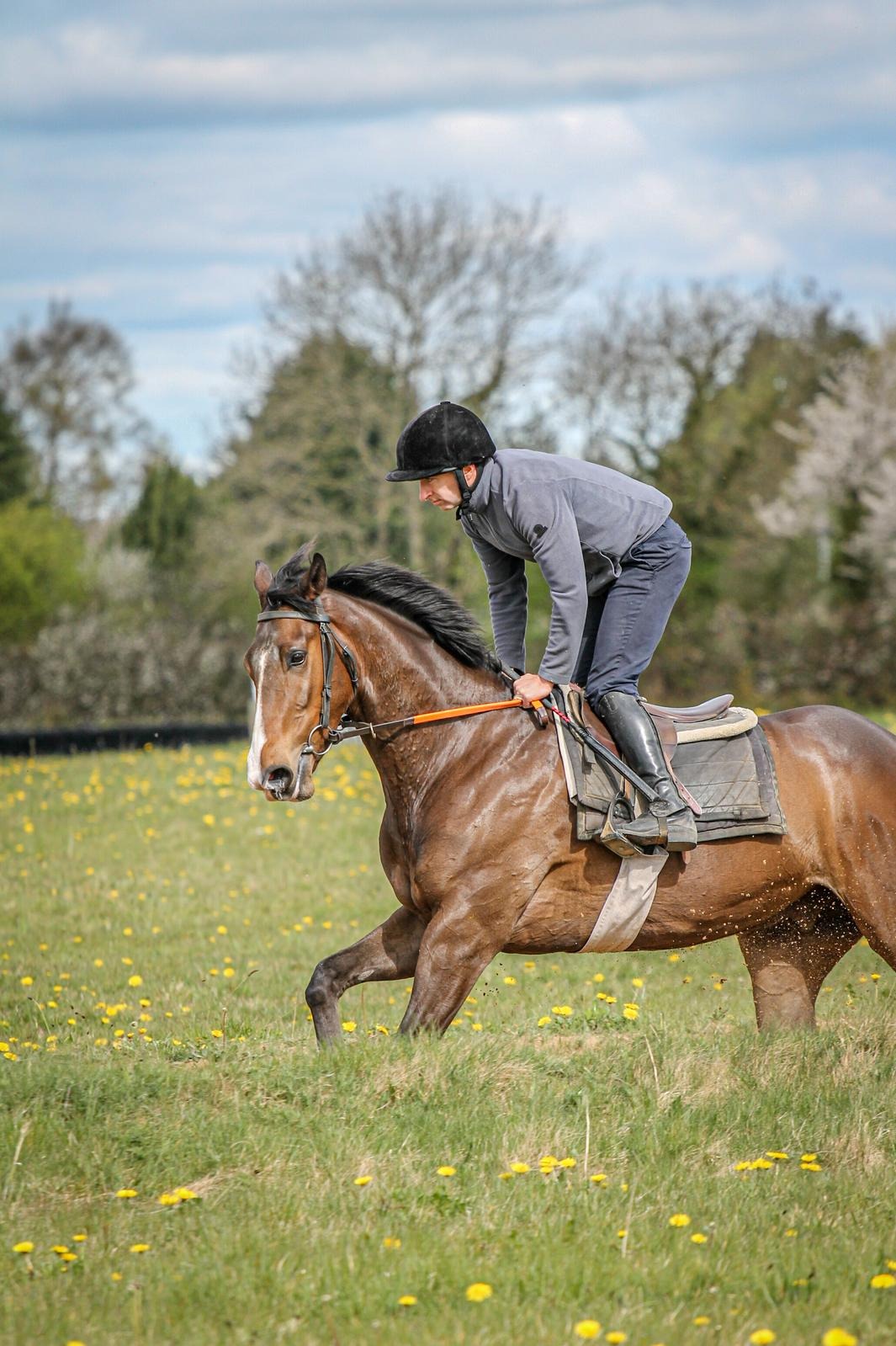 User-uploaded image 1