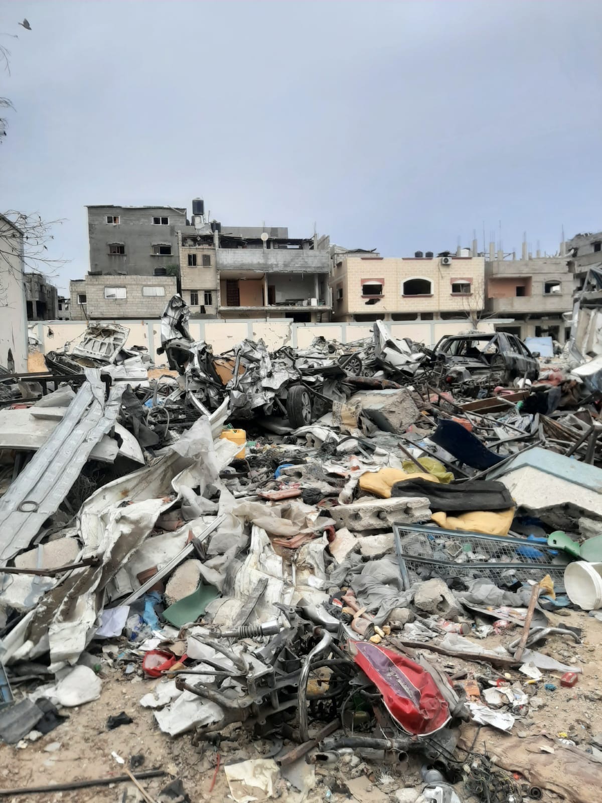 Helping my family in Gaza campaign photo, 4 of 5