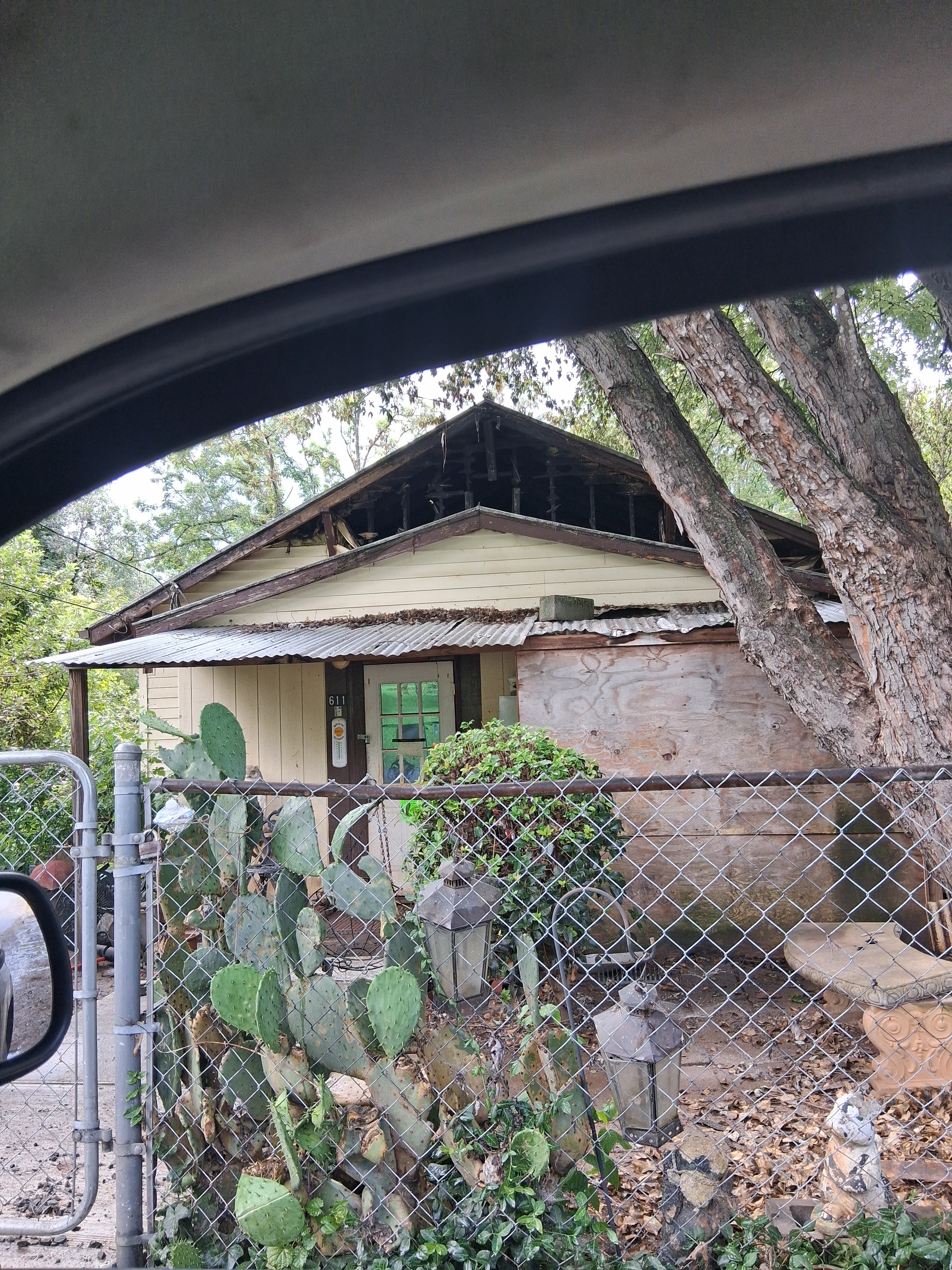 Grandparents' Home Gone, Dogs Safe campaign photo, 6 of 7