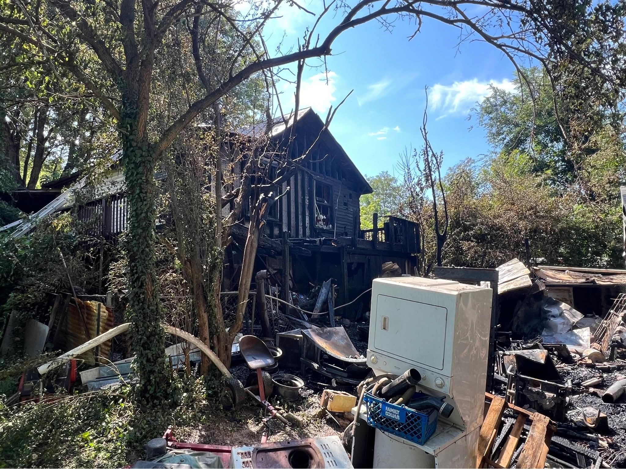 Grandparents' Home Gone, Dogs Safe campaign photo, 4 of 7