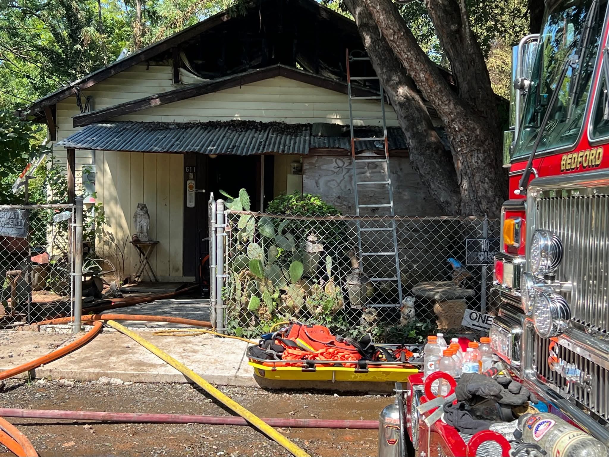Grandparents' Home Gone, Dogs Safe campaign photo, 5 of 7