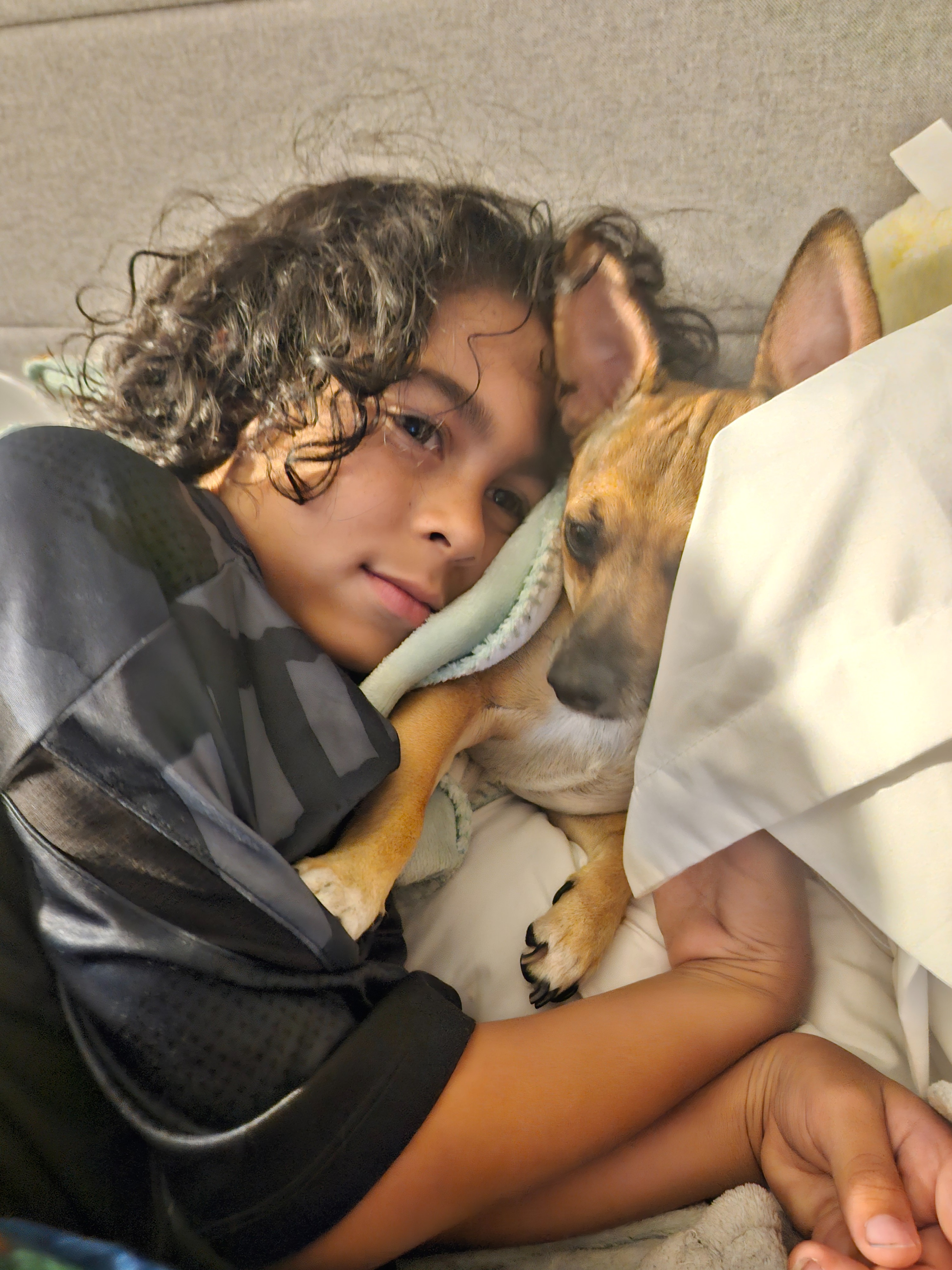 Emergency Care Needed for Chichi campaign photo, 6 of 8