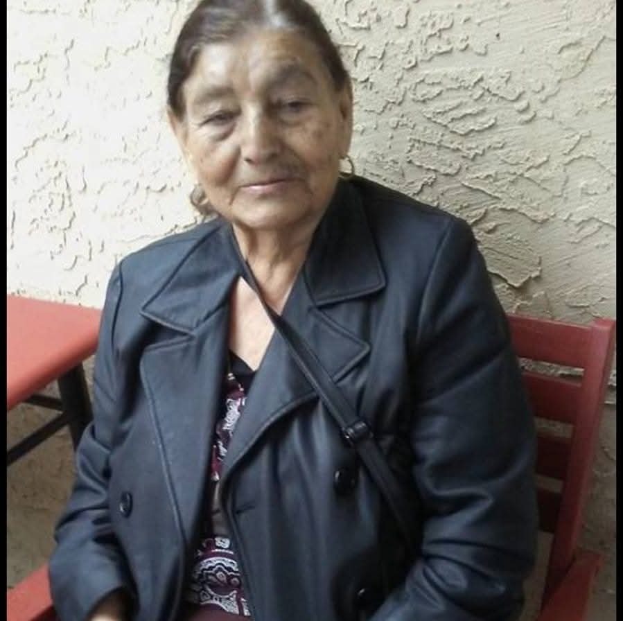 Elena Fernandez by Ana Anaya  gofundme donation