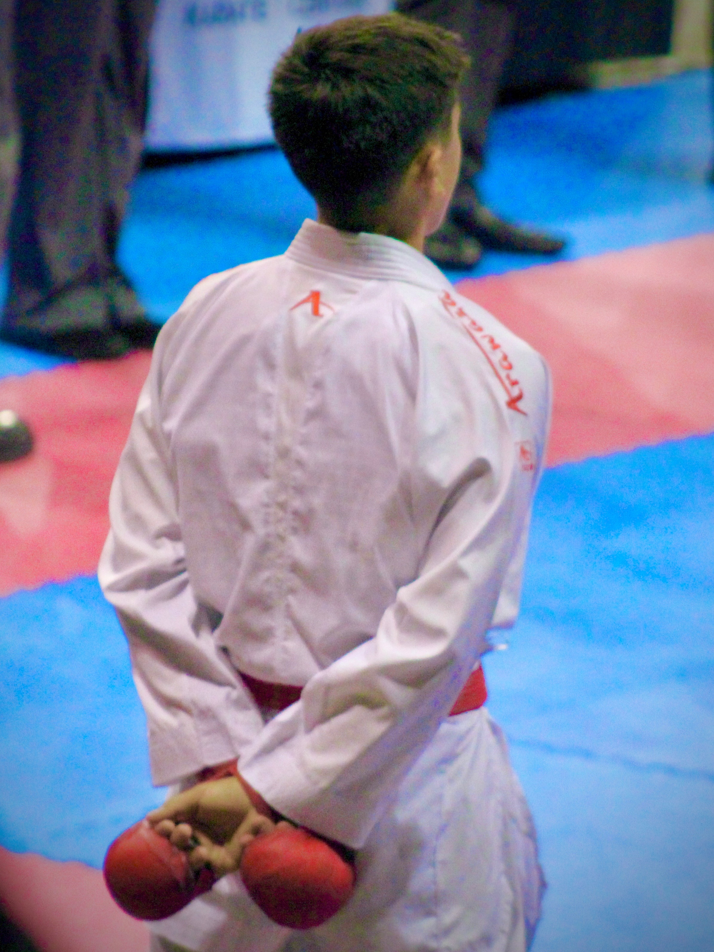 KUGA to Pan American KARATE championships campaign photo, 4 of 7
