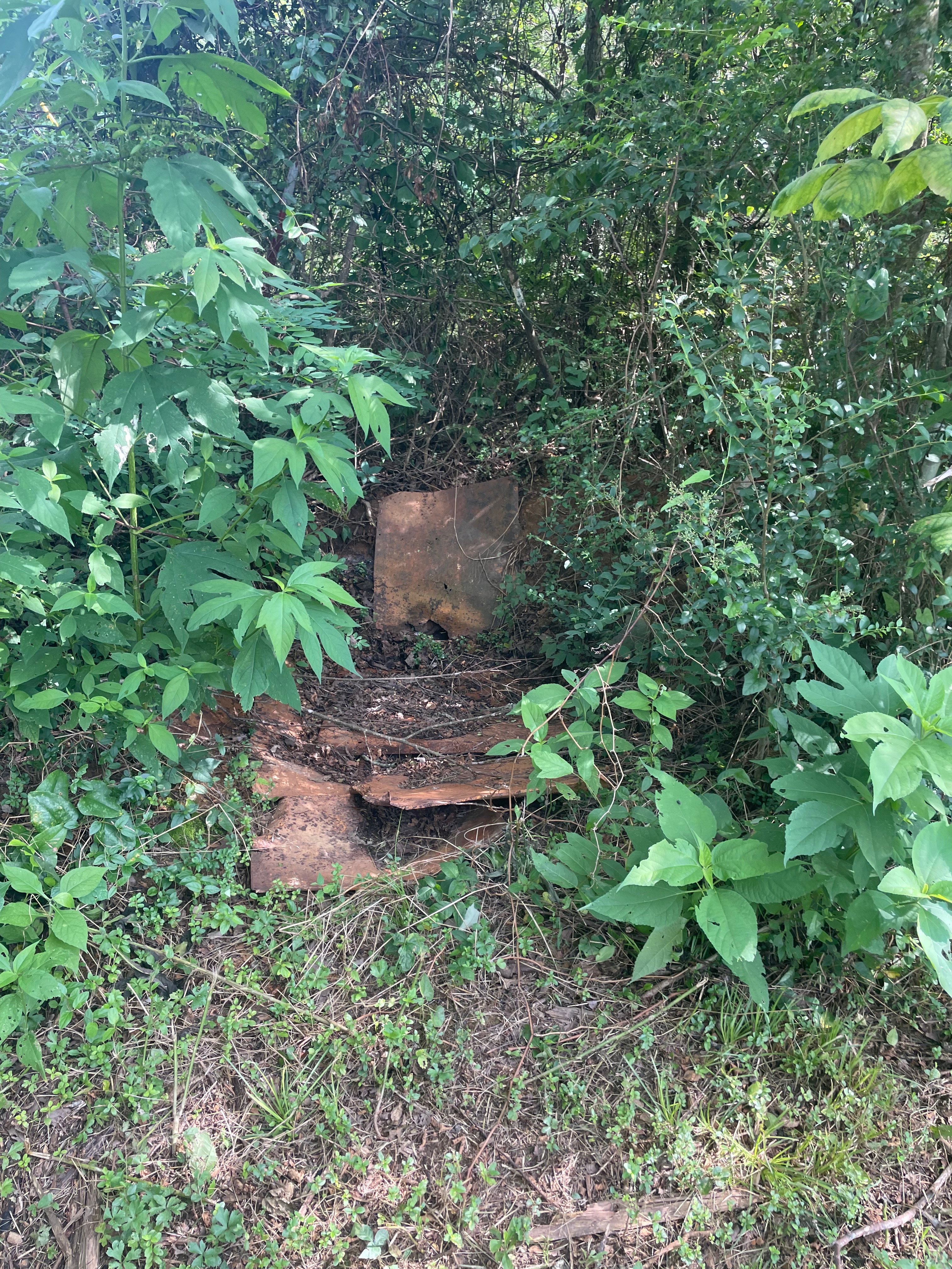 Help TrottCo Excavation assist Ms. D with a septic system campaign photo, 4 of 5