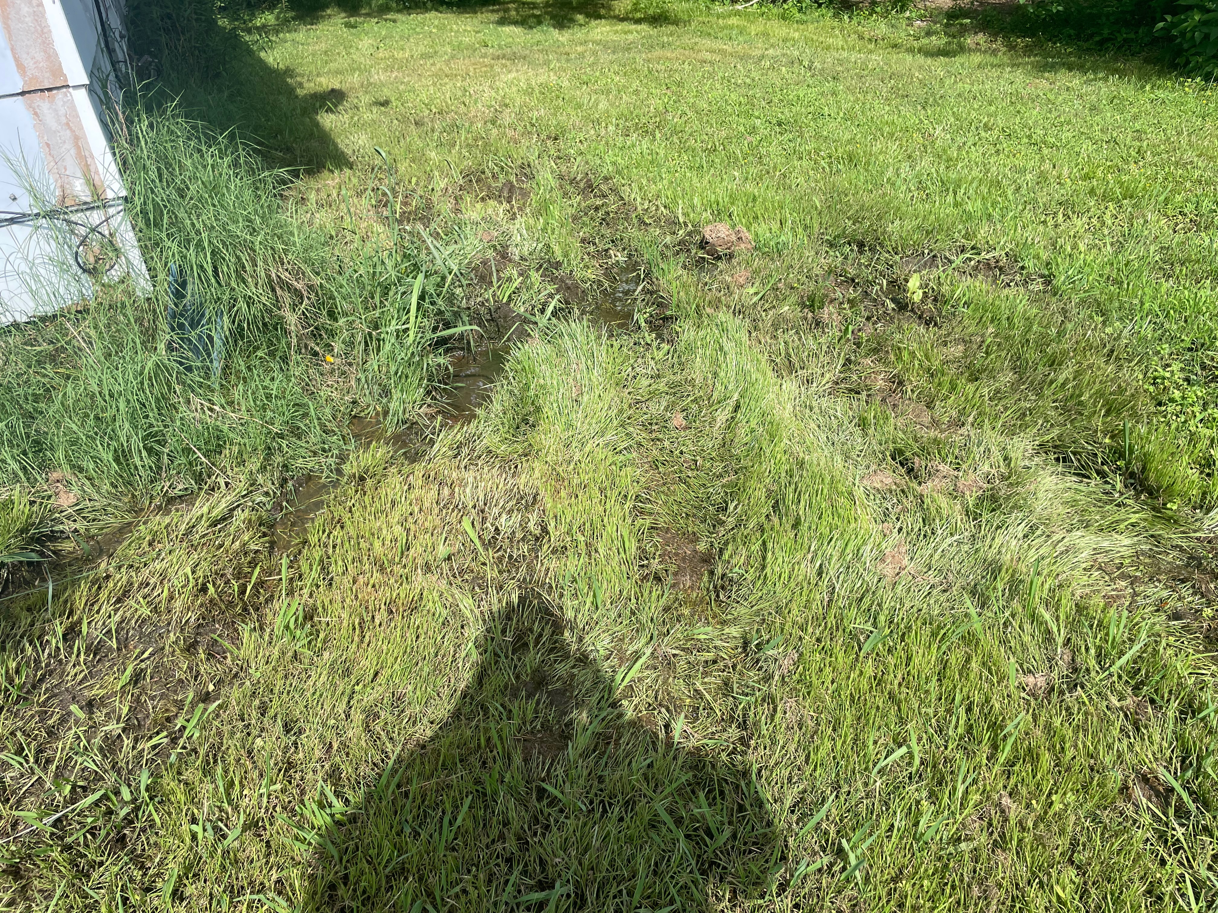 Help TrottCo Excavation assist Ms. D with a septic system campaign photo, 2 of 5