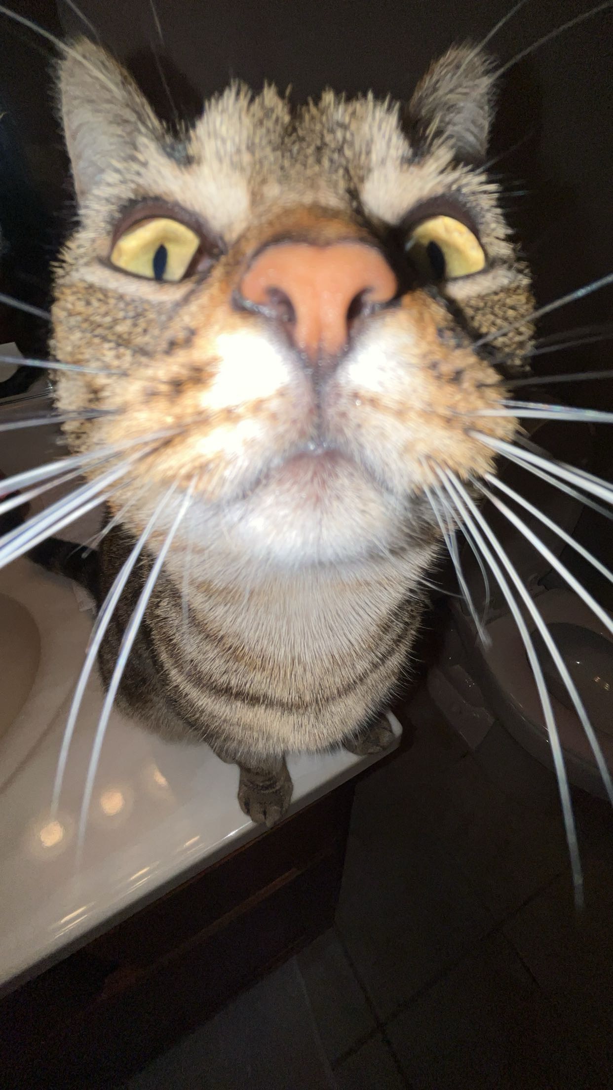 Help Lorna Get Life-Saving Surgery campaign photo, 2 of 7