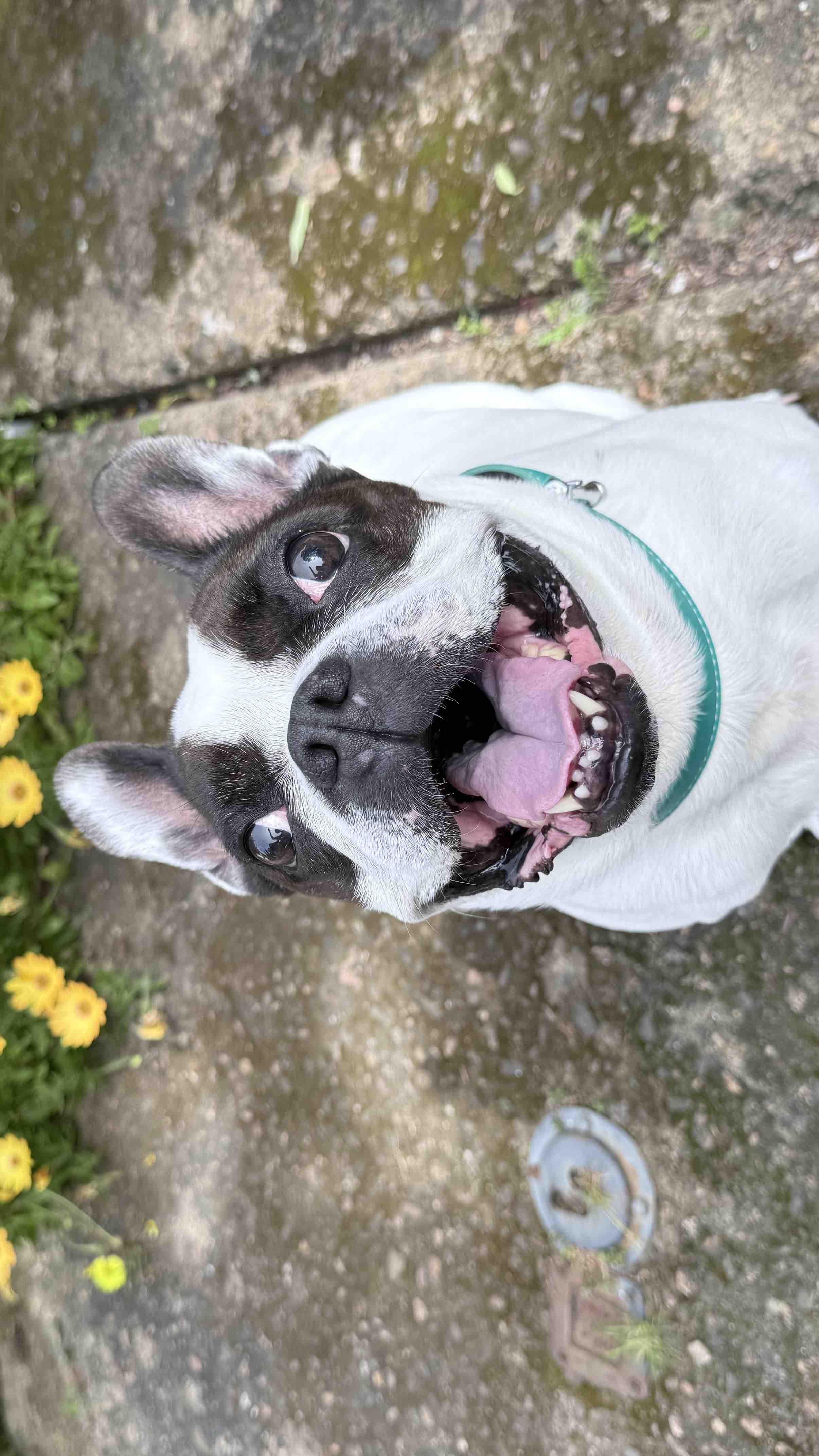 Un aiuto per Melissa❤️‍