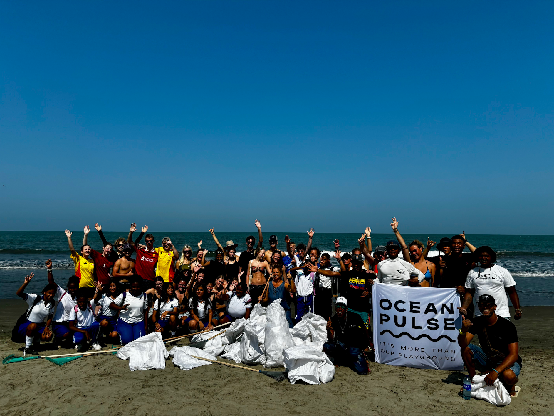Hilf mit, OceanPulse zum Leben zu erwecken campaign photo, 4 of 5