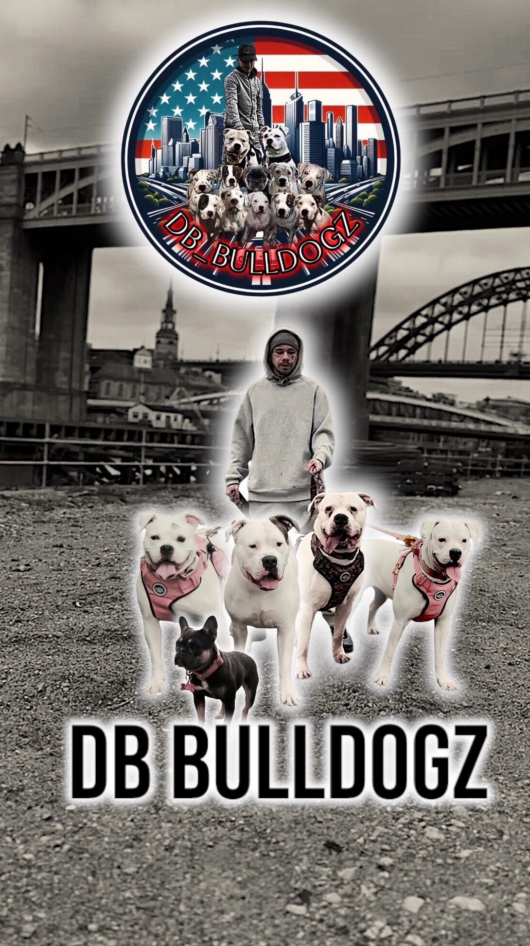 HOMELESS WITH 5 DOGS campaign photo, 2 of 4