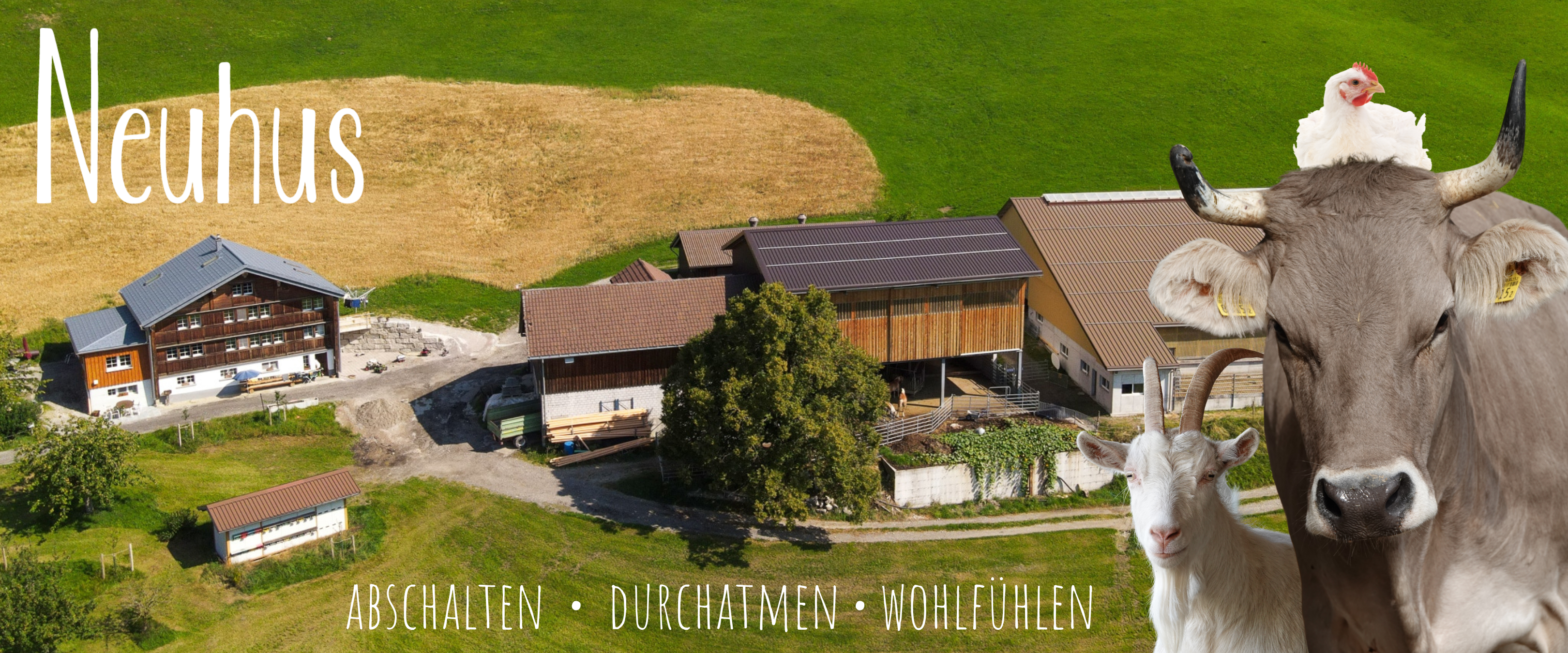 BuurehofZyyt auf dem Wohlfühlhof in Urnäsch für R. campaign photo, 4 of 6