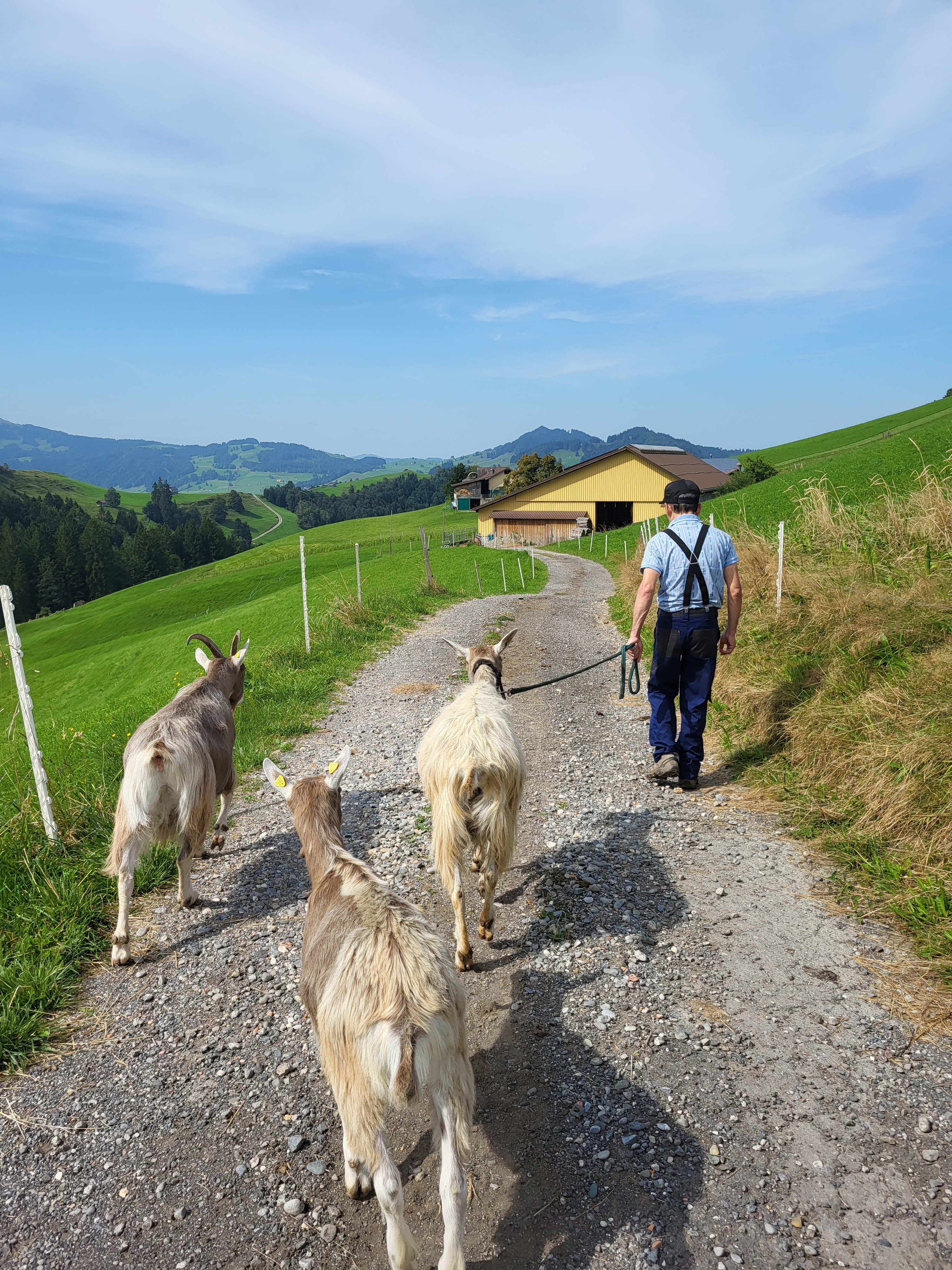 BuurehofZyyt auf dem Wohlfühlhof in Urnäsch für R. campaign photo, 5 of 6
