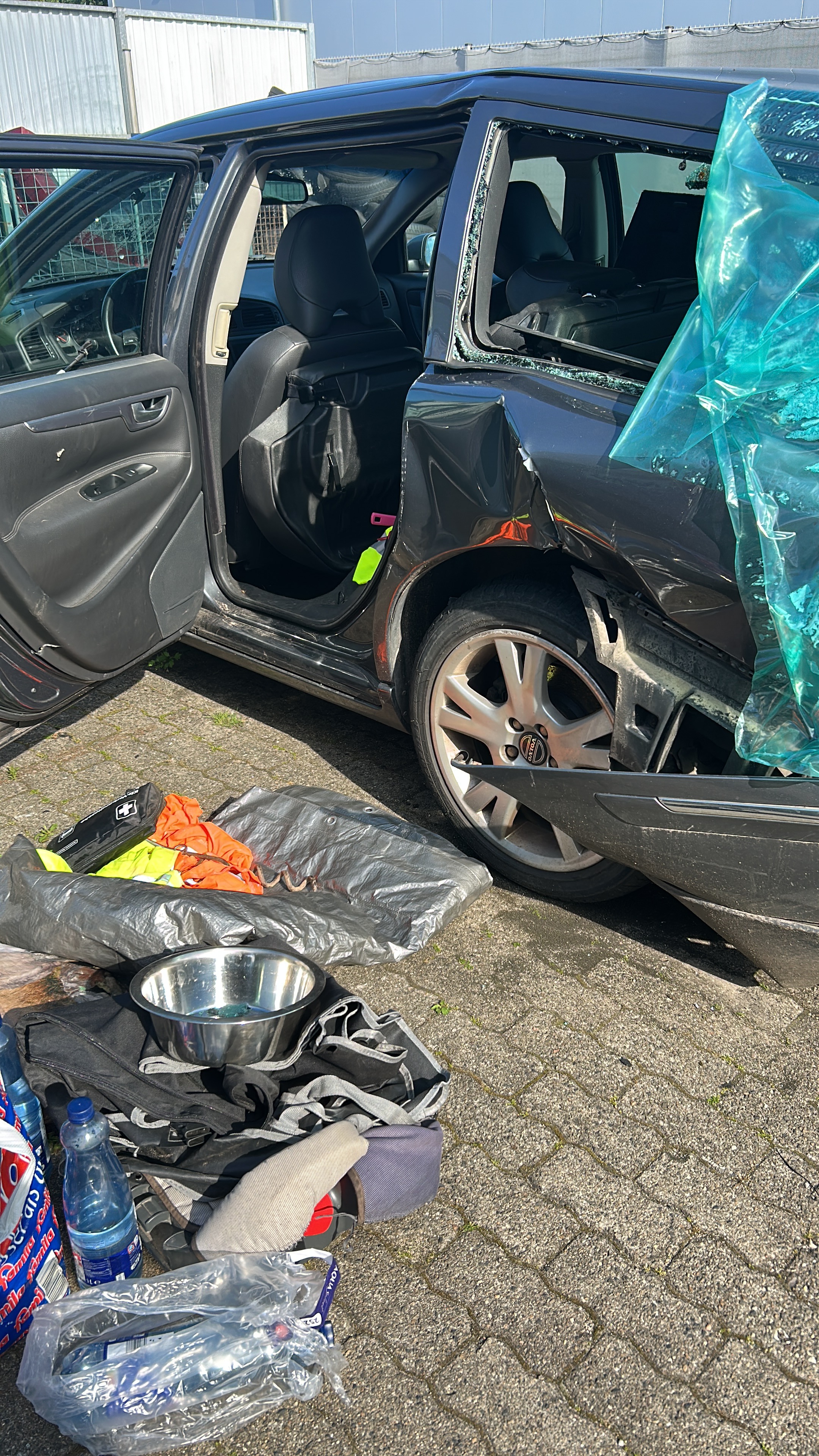 Alone after a car accident: kids, dogs & a broken shoulder campaign photo, 6 of 8
