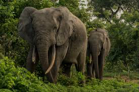 Volunteering trip - Ghana African Adventures campaign photo, 6 of 8