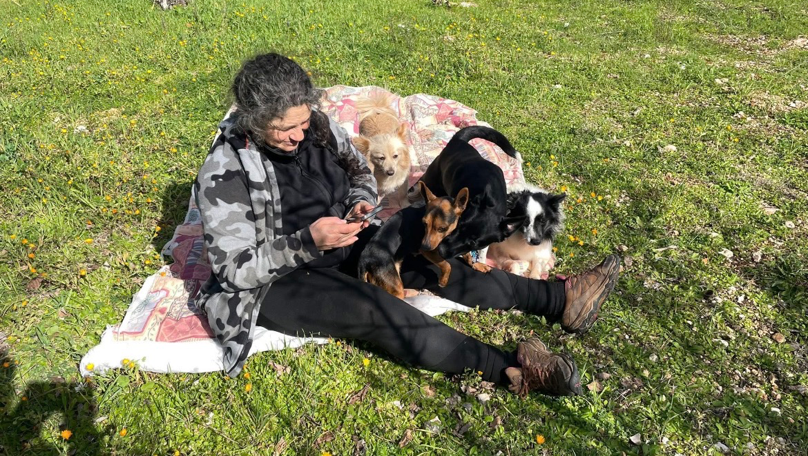 Aiuta a ricostruire Il rifugioFLICK E I SUOI AMICI photo