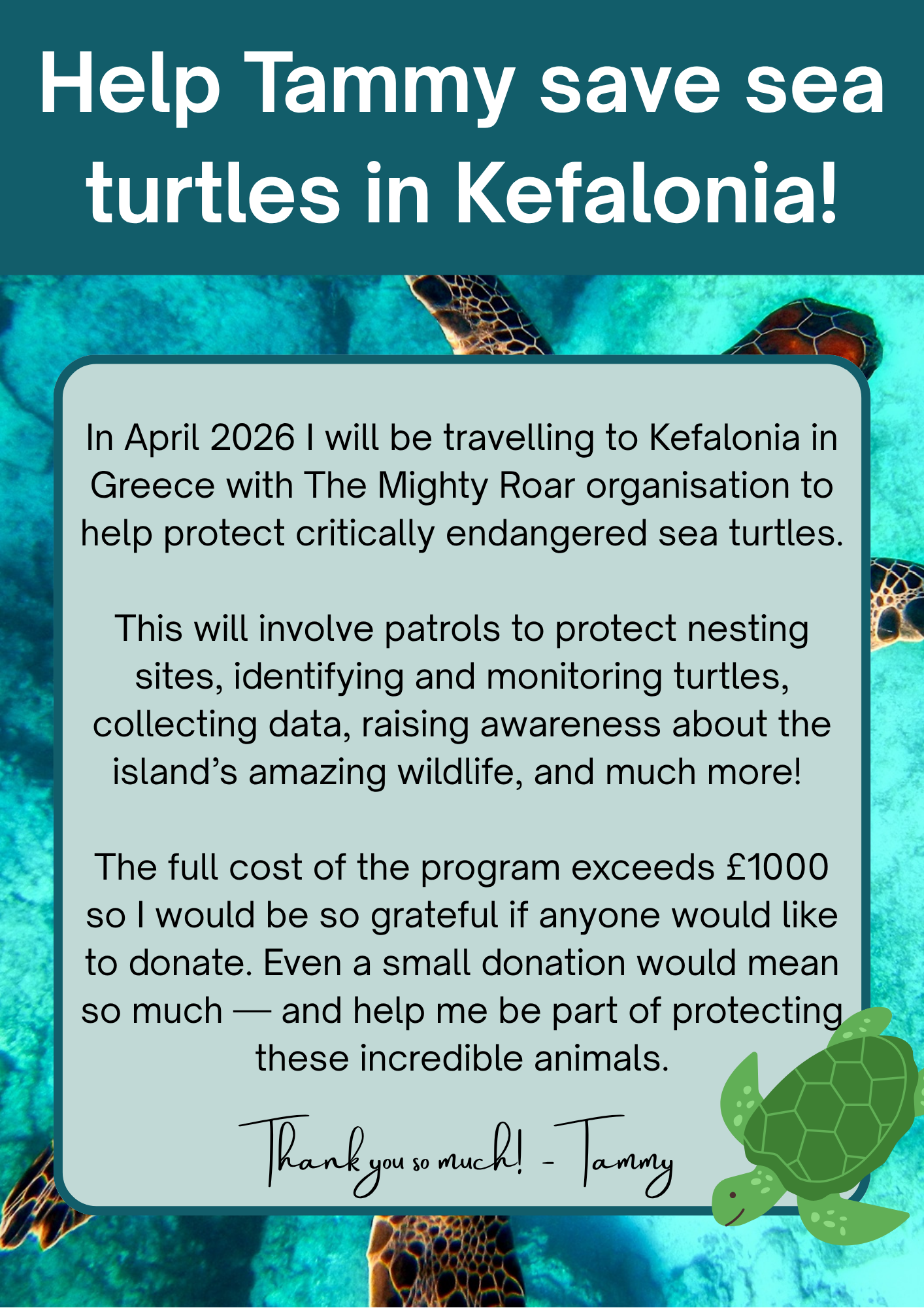 Help me save sea turtles in Kefalonia! campaign photo, 5 of 8