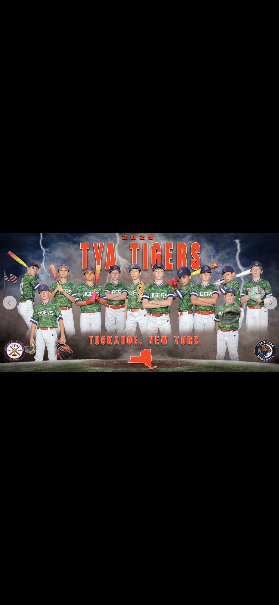 Help the TYA Tigers go to Cooperstown! campaign photo, 2 of 4