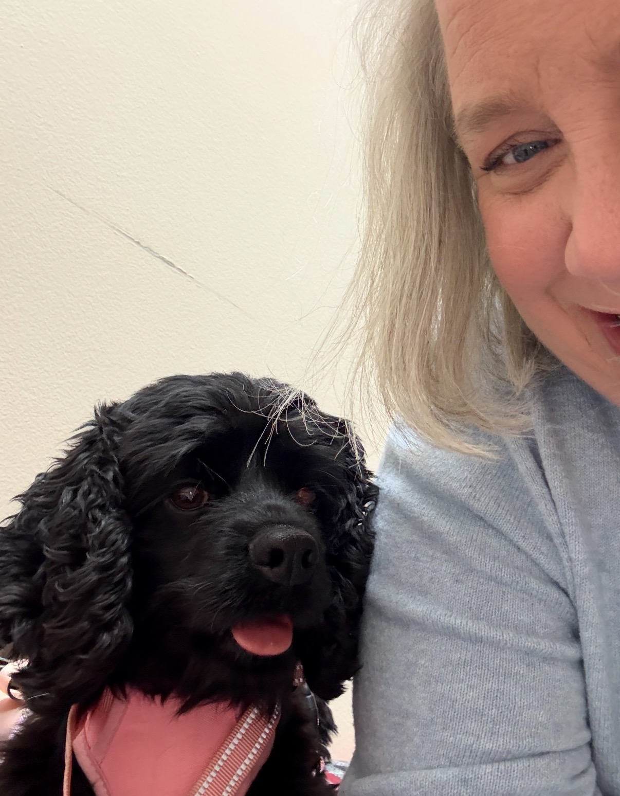 Please help our sister's rescued pup to see again! campaign photo, 5 of 8