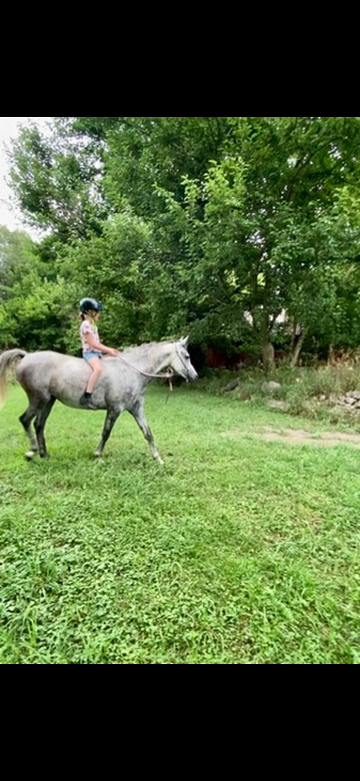 Help Alyssa Rescue Her Horse Once Again campaign photo, 5 of 6