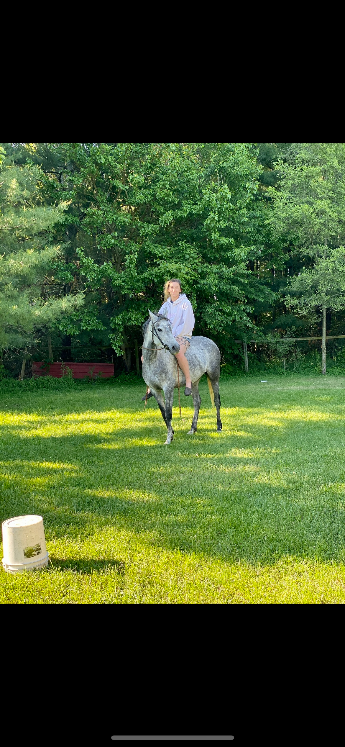 Help Alyssa Rescue Her Horse Once Again campaign photo, 2 of 6