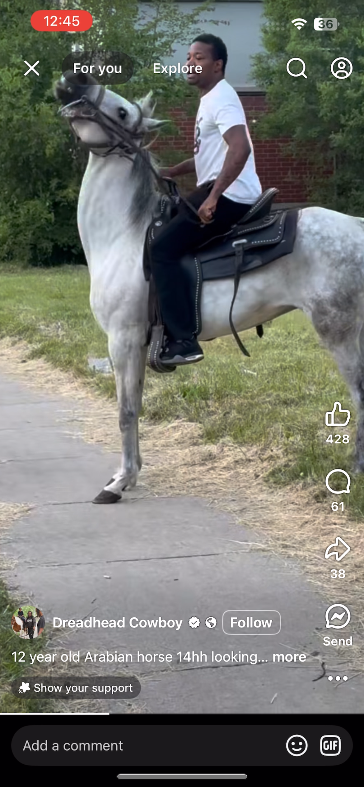 Help Alyssa Rescue Her Horse Once Again campaign photo, 4 of 6