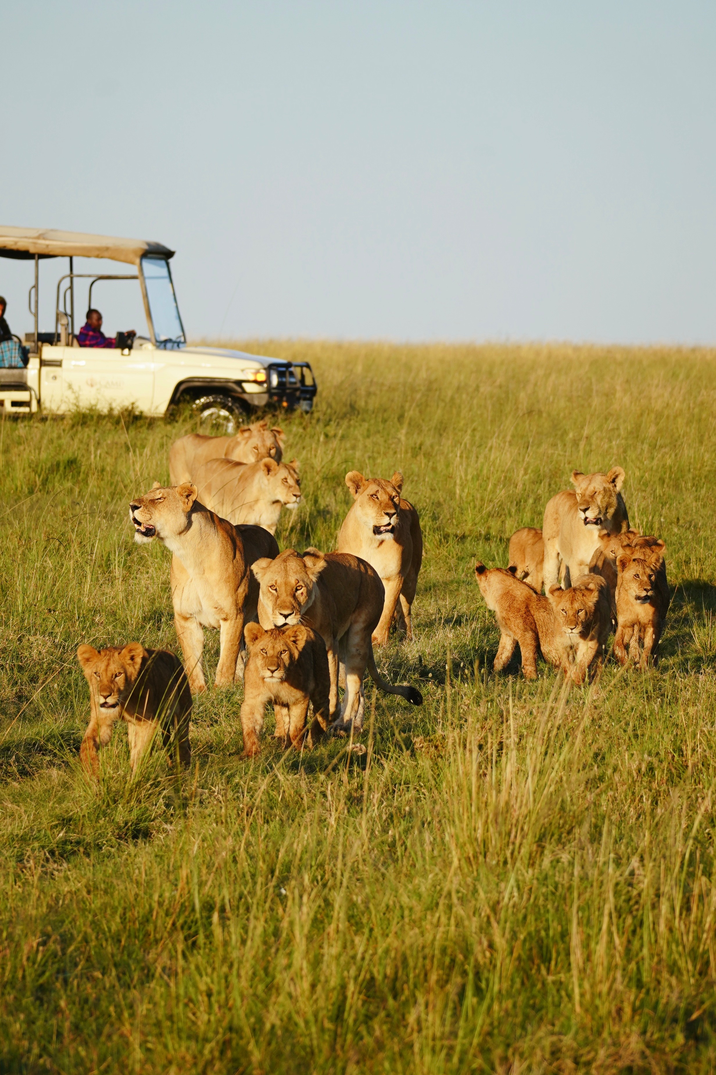 Marathon in the Mara: Support Rangers, Wildlife, and Locals campaign photo, 4 of 8
