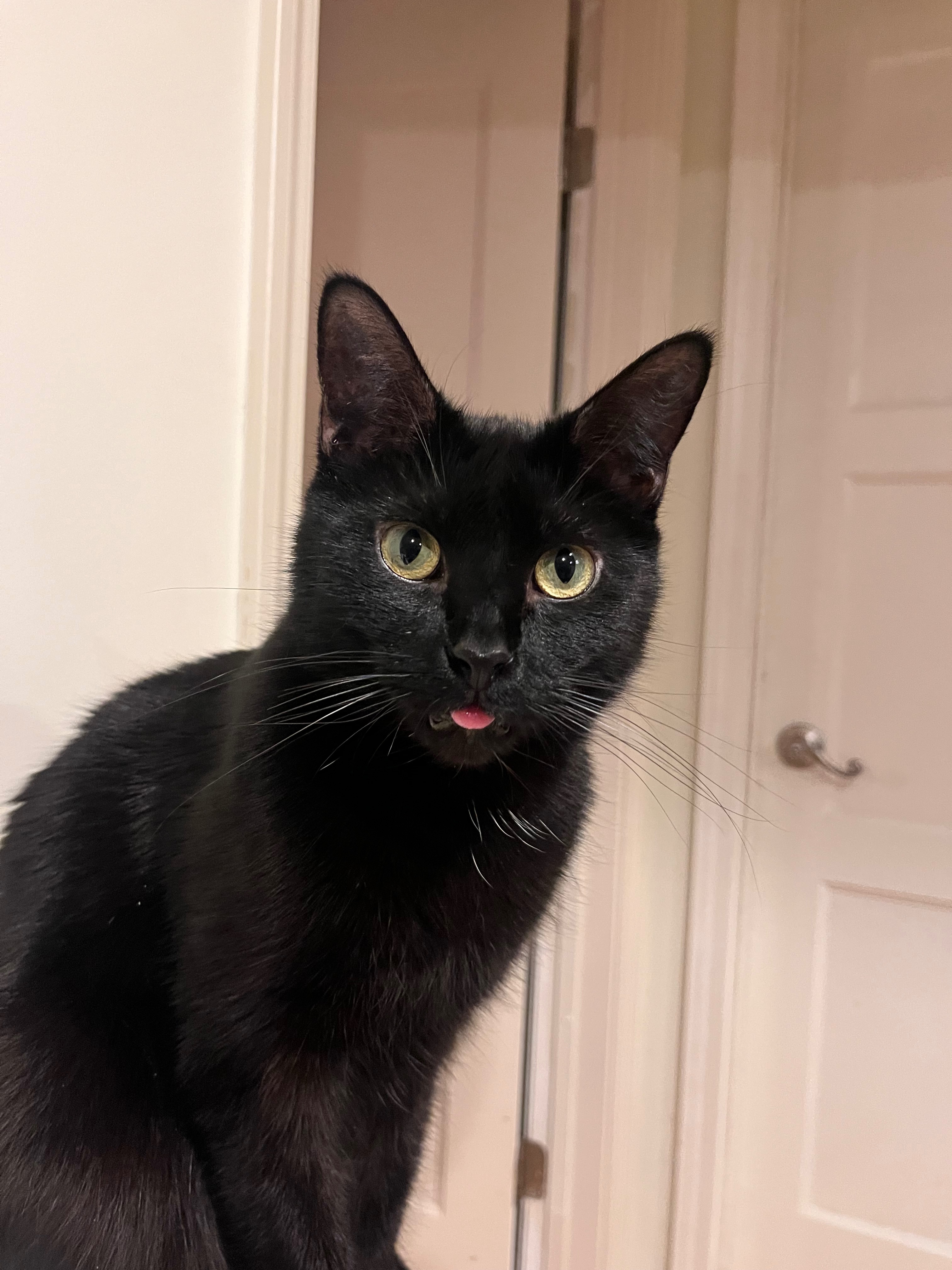 Support Elliott's Urgent Ear Surgery campaign photo, 6 of 8