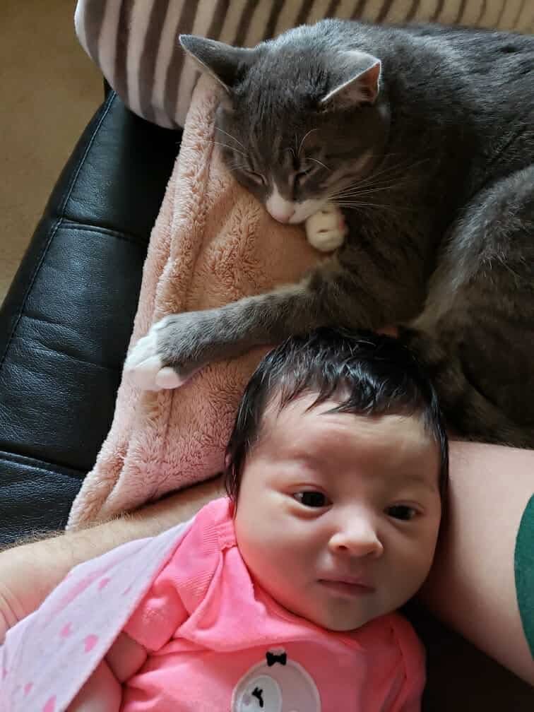 Help Kira Get the Emergency Care She Needs campaign photo, 6 of 8