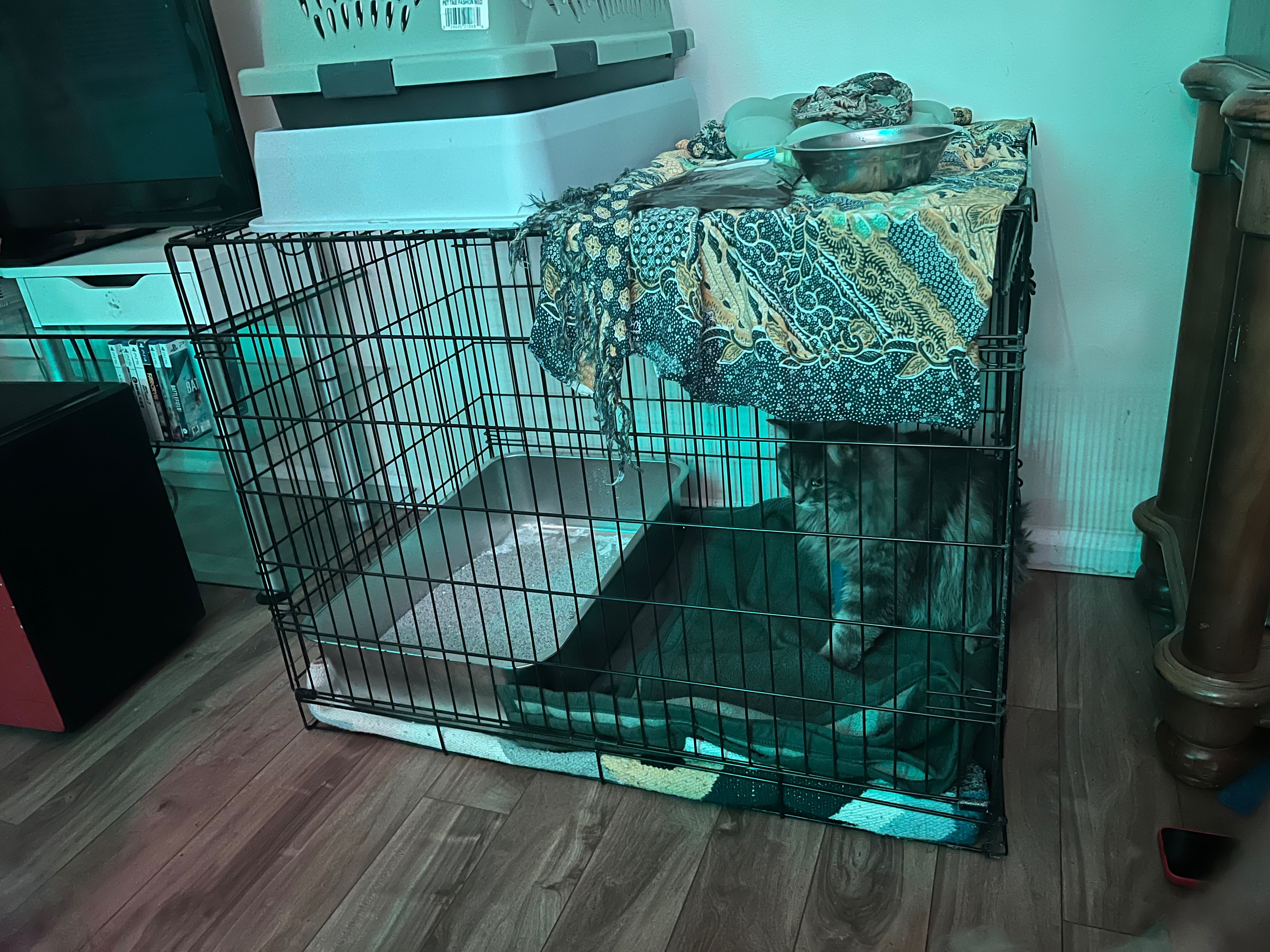 Help us cover the costs of shadow’s operation costs! campaign photo, 6 of 8