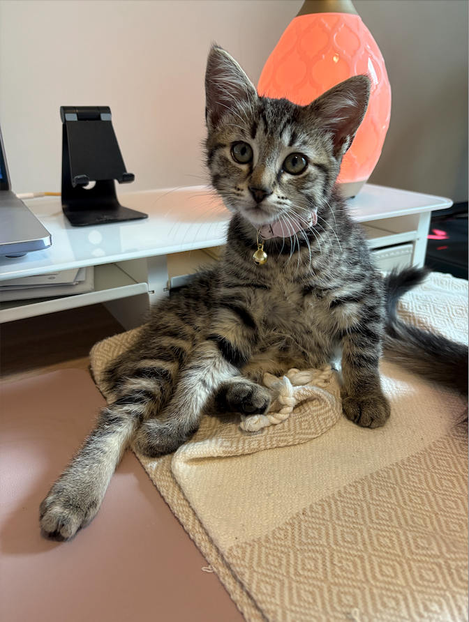 Donate to River's Recovery Journey campaign photo, 2 of 6