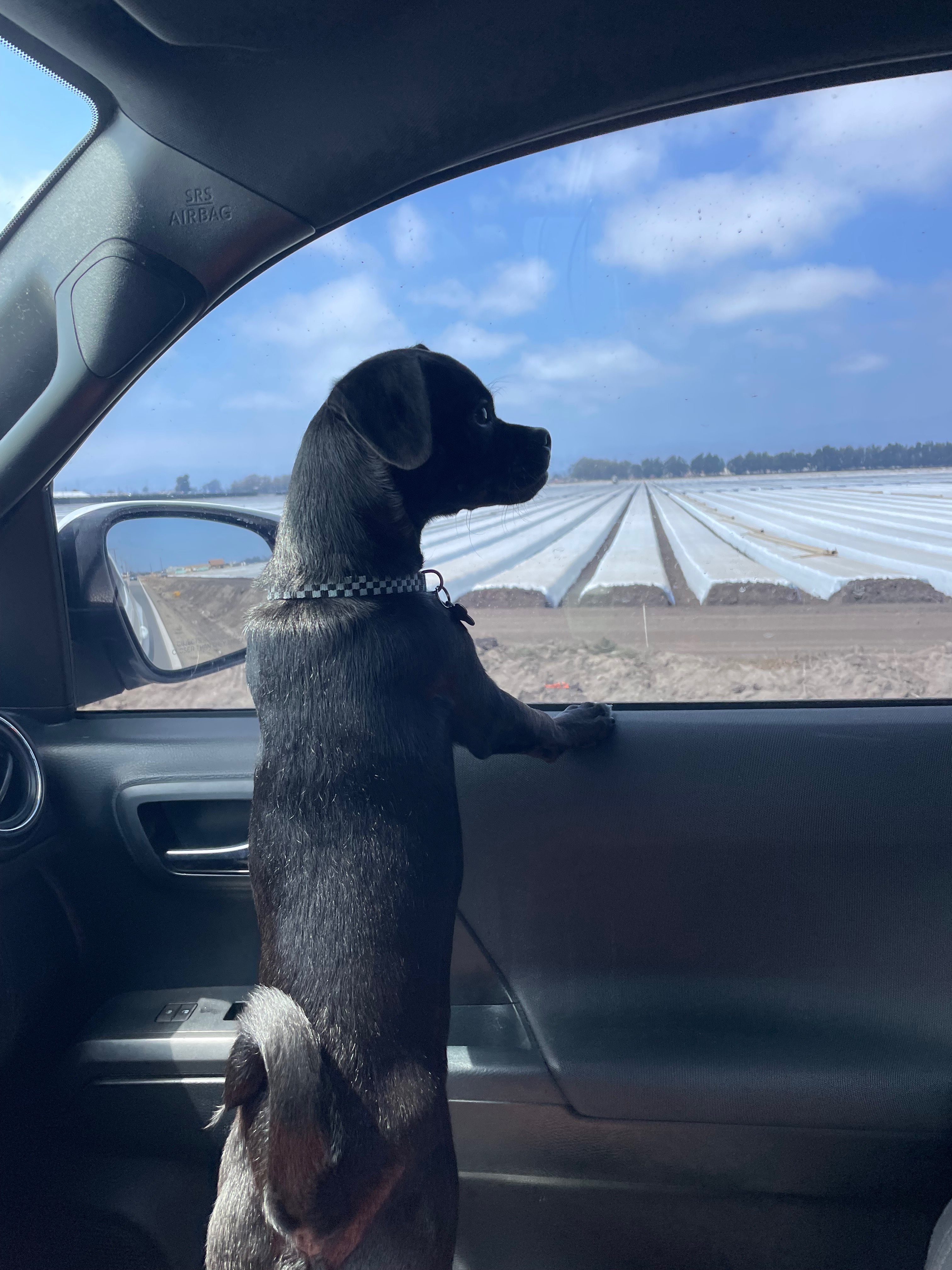 User-uploaded image 1