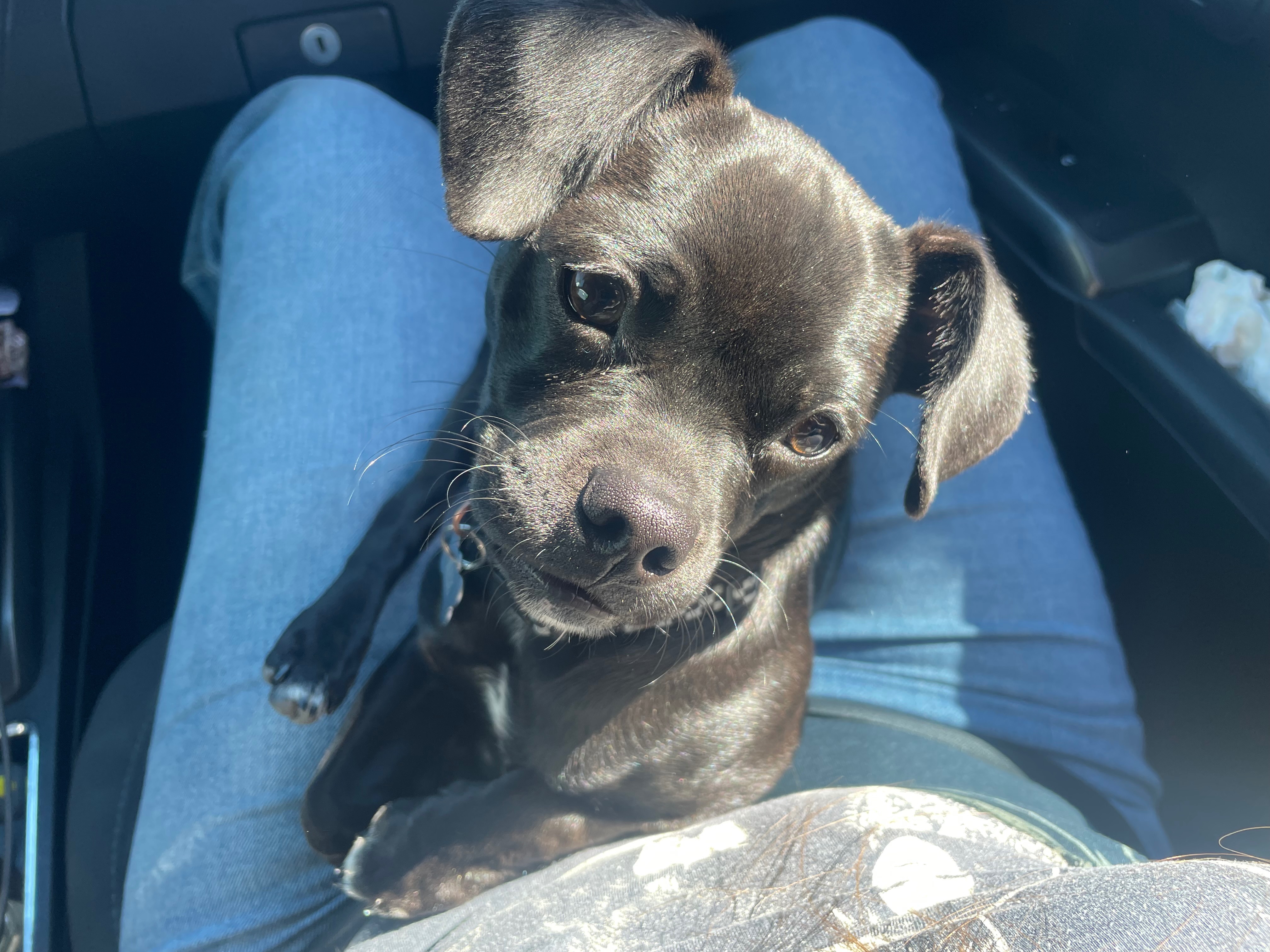 User-uploaded image 2