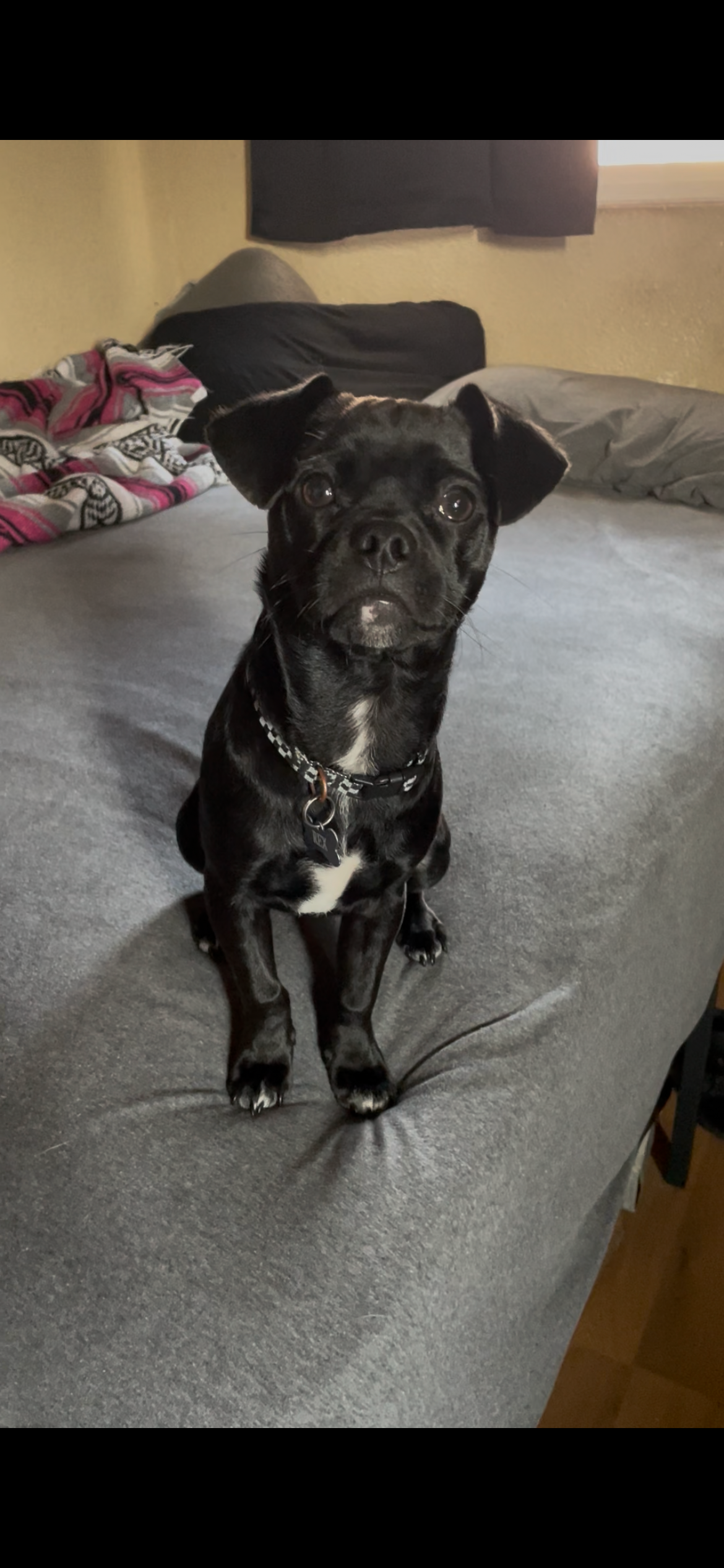 User-uploaded image 3