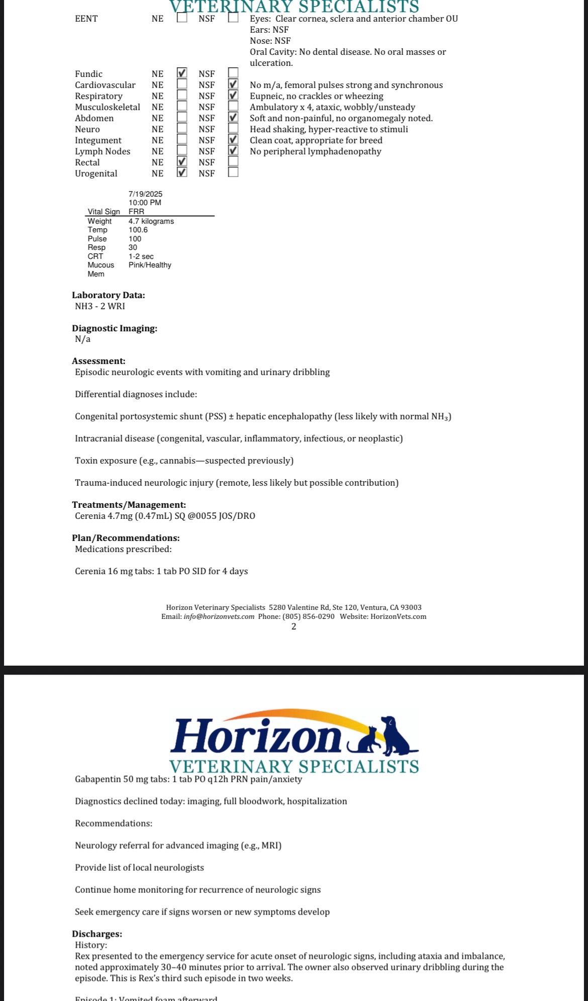 User-uploaded image 4