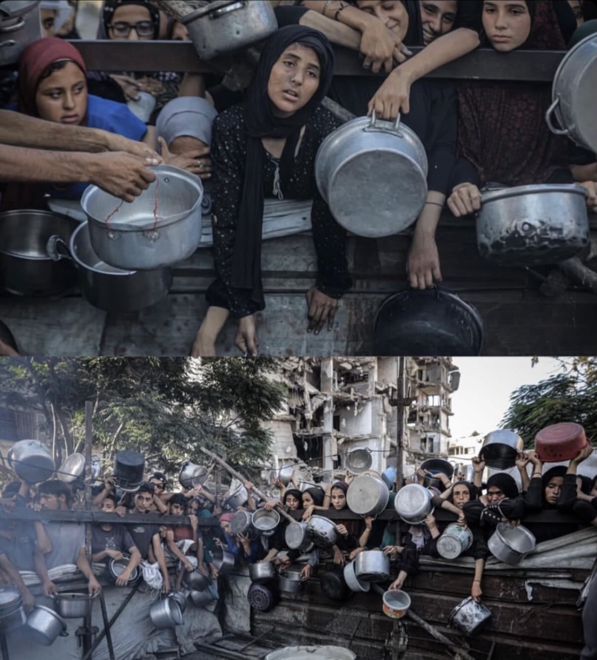 Humanitarian Aid for Gaza Families: Food Survival Fund campaign photo, 7 of 8