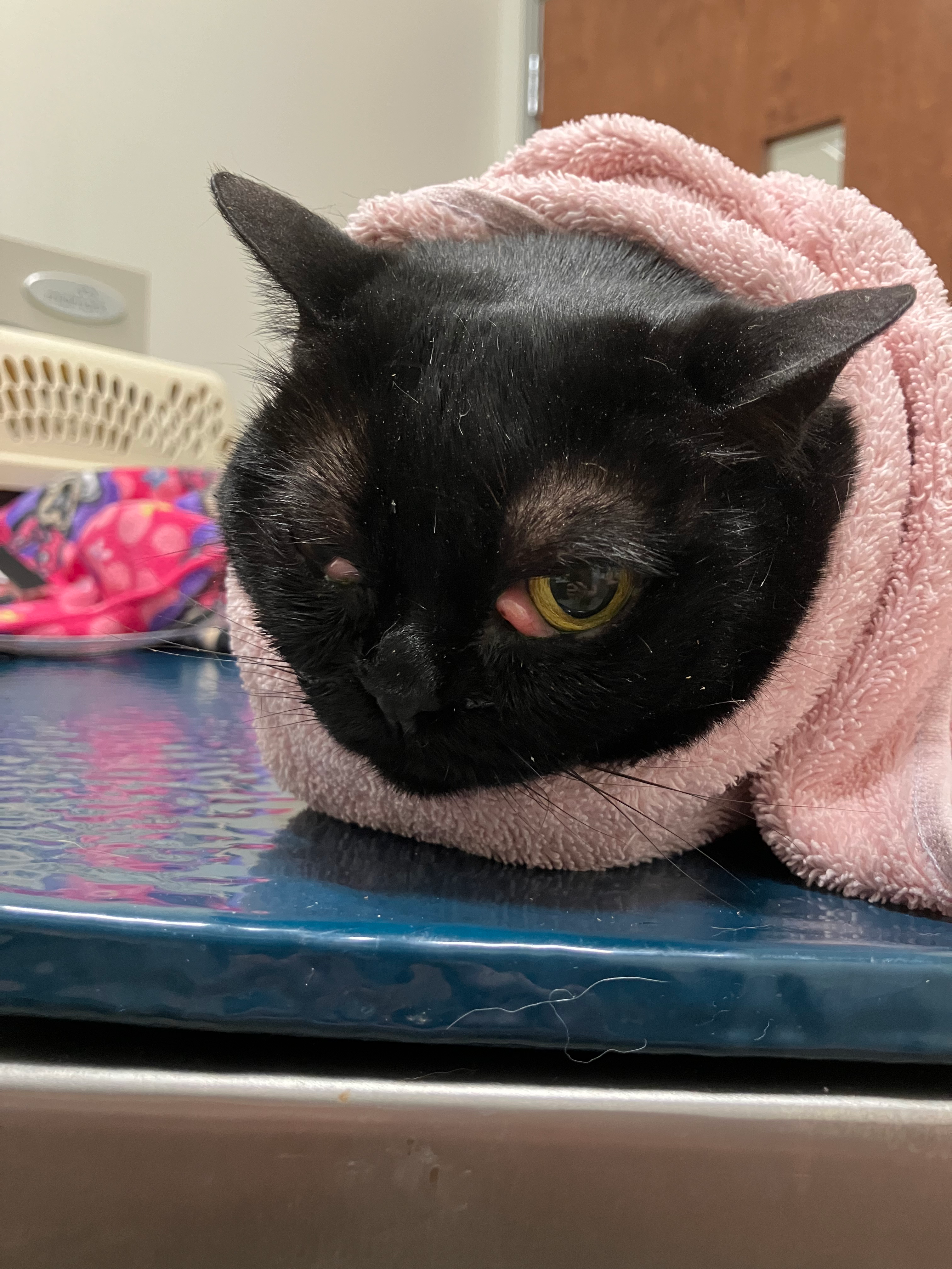 Help Sissy Afford Emergency Eye Surgery campaign photo, 7 of 8