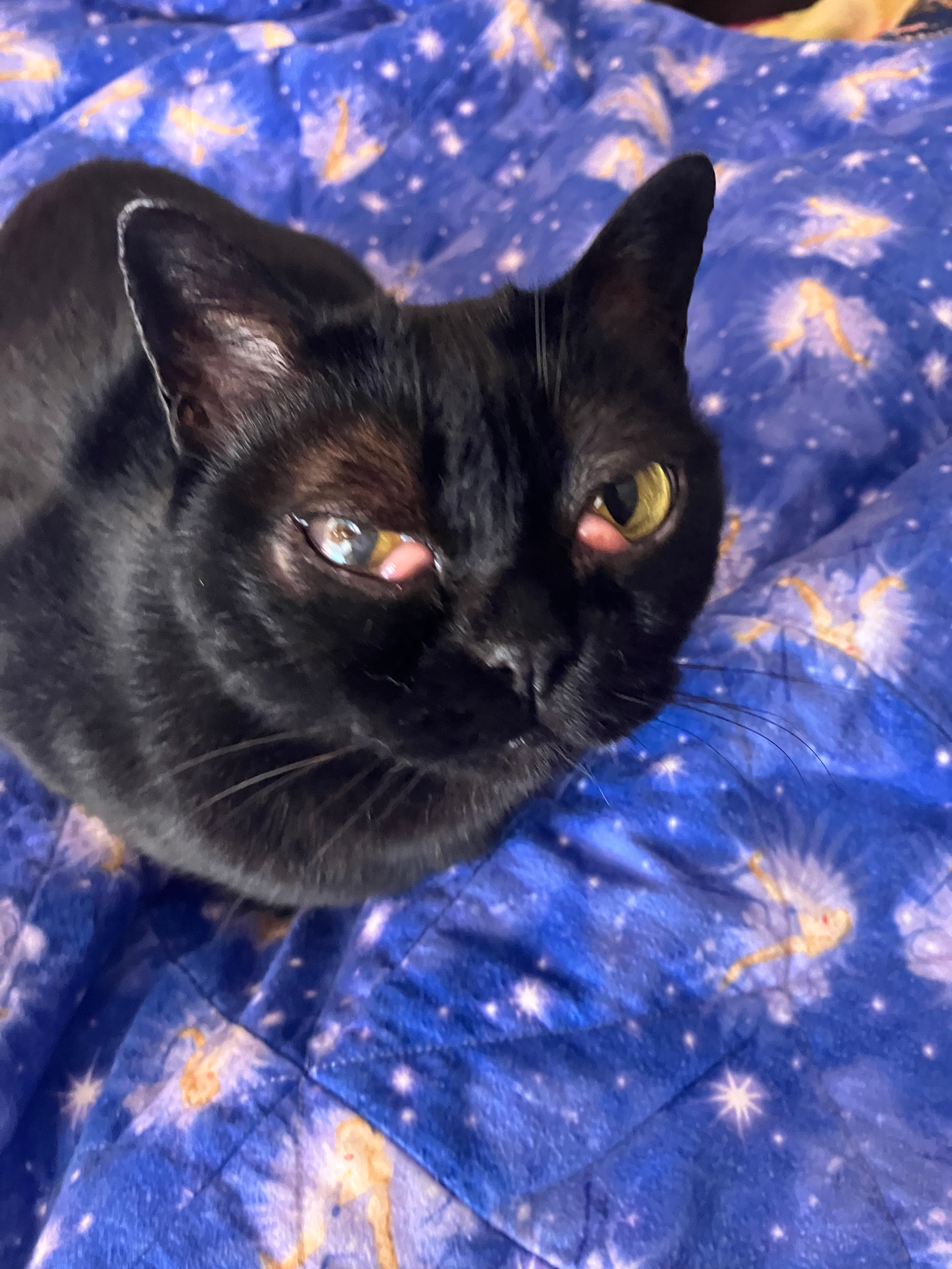 Help Sissy Afford Emergency Eye Surgery campaign photo, 4 of 8