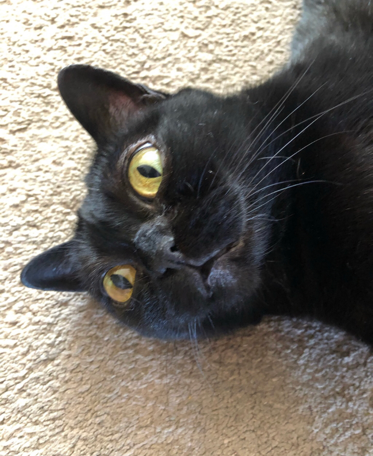Help Sissy Afford Emergency Eye Surgery campaign photo, 6 of 8