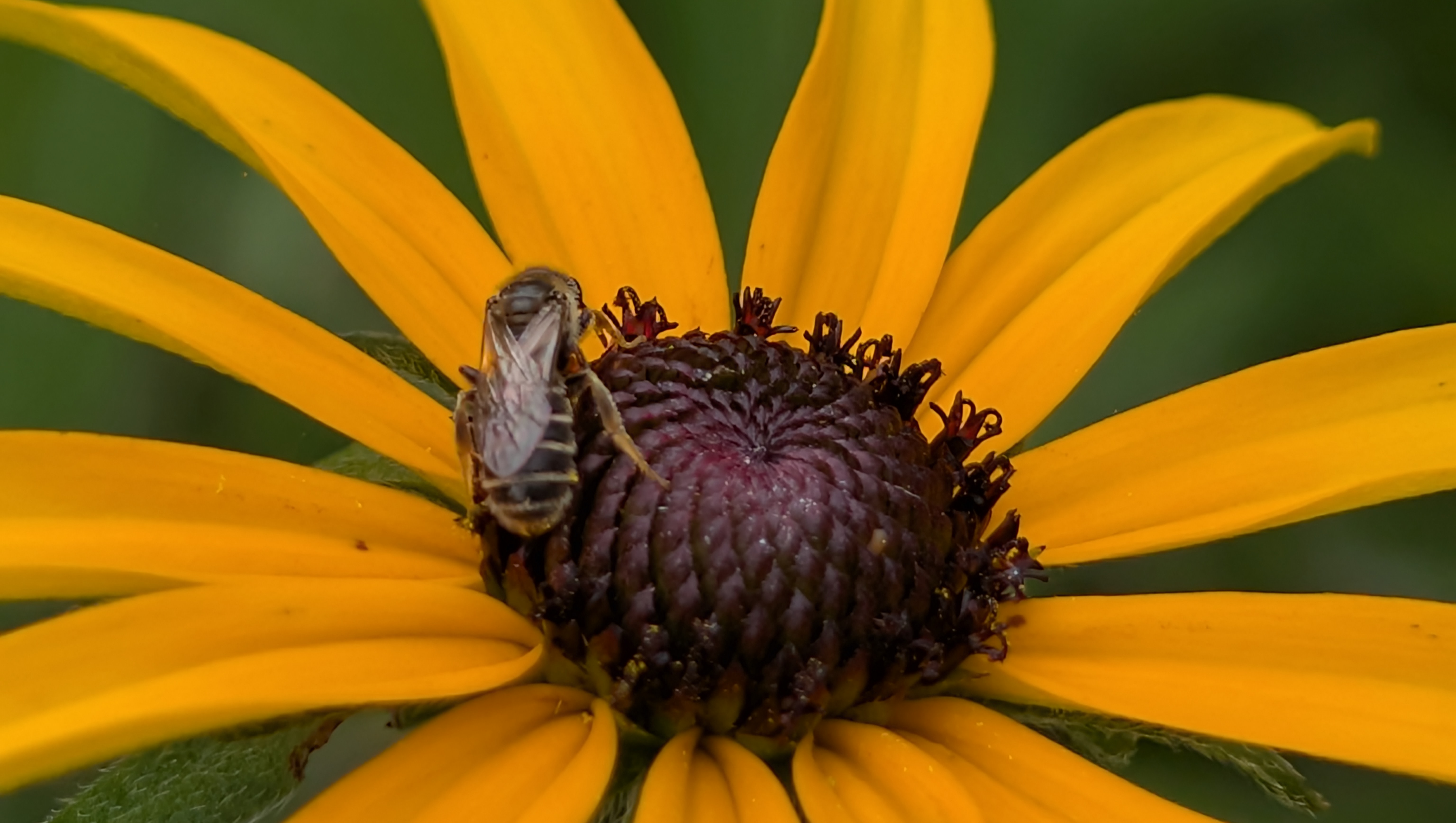 A bit of support as I start over again. ❤️ photo