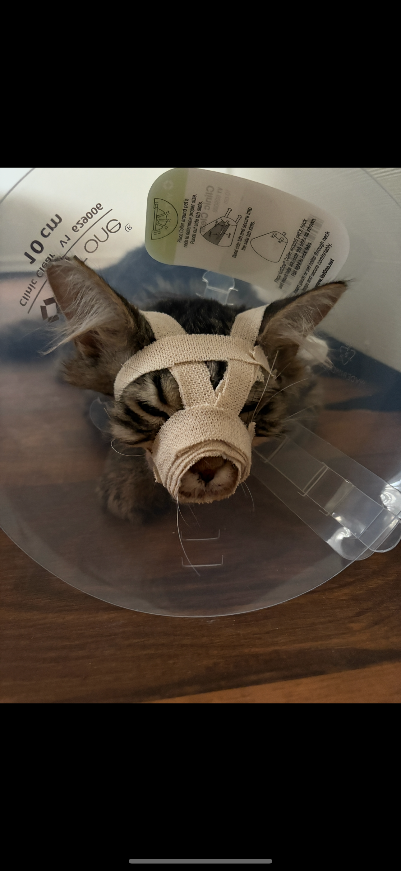 Donate for Western's Life-Saving Jaw Surgery campaign photo, 2 of 6
