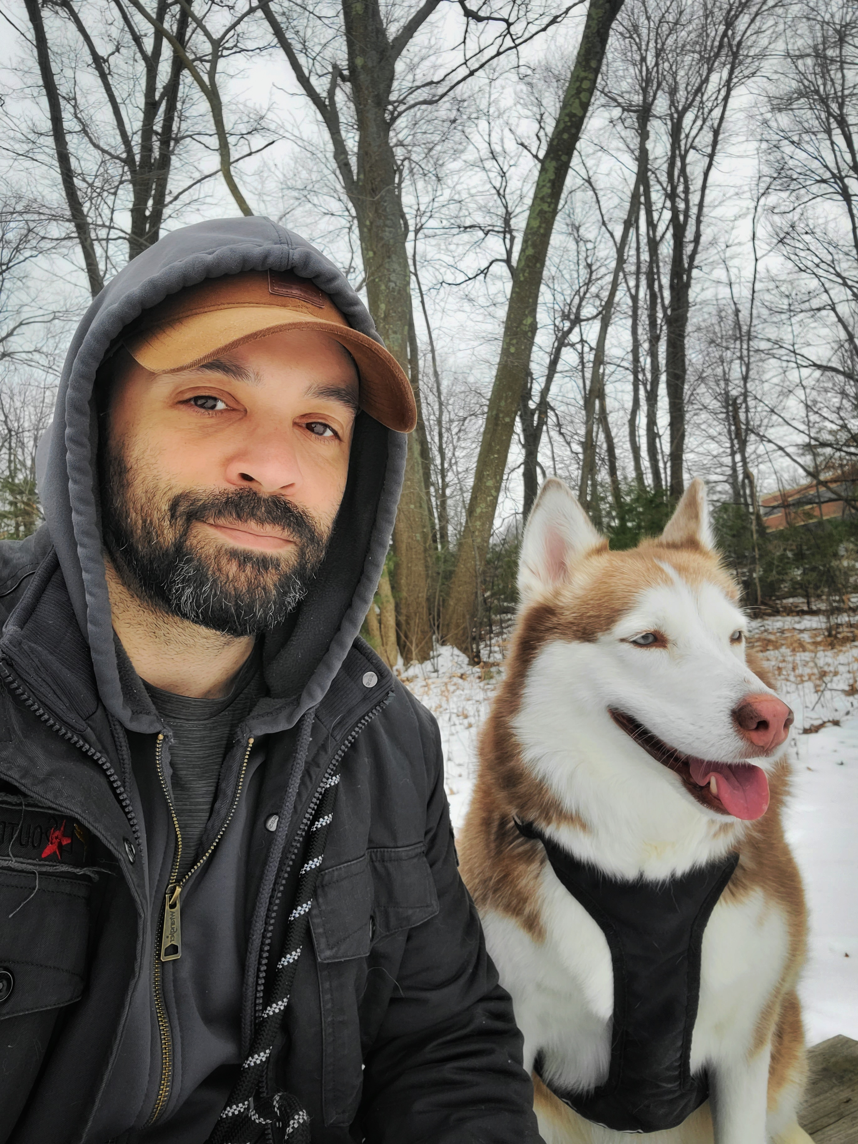 User-uploaded image 1