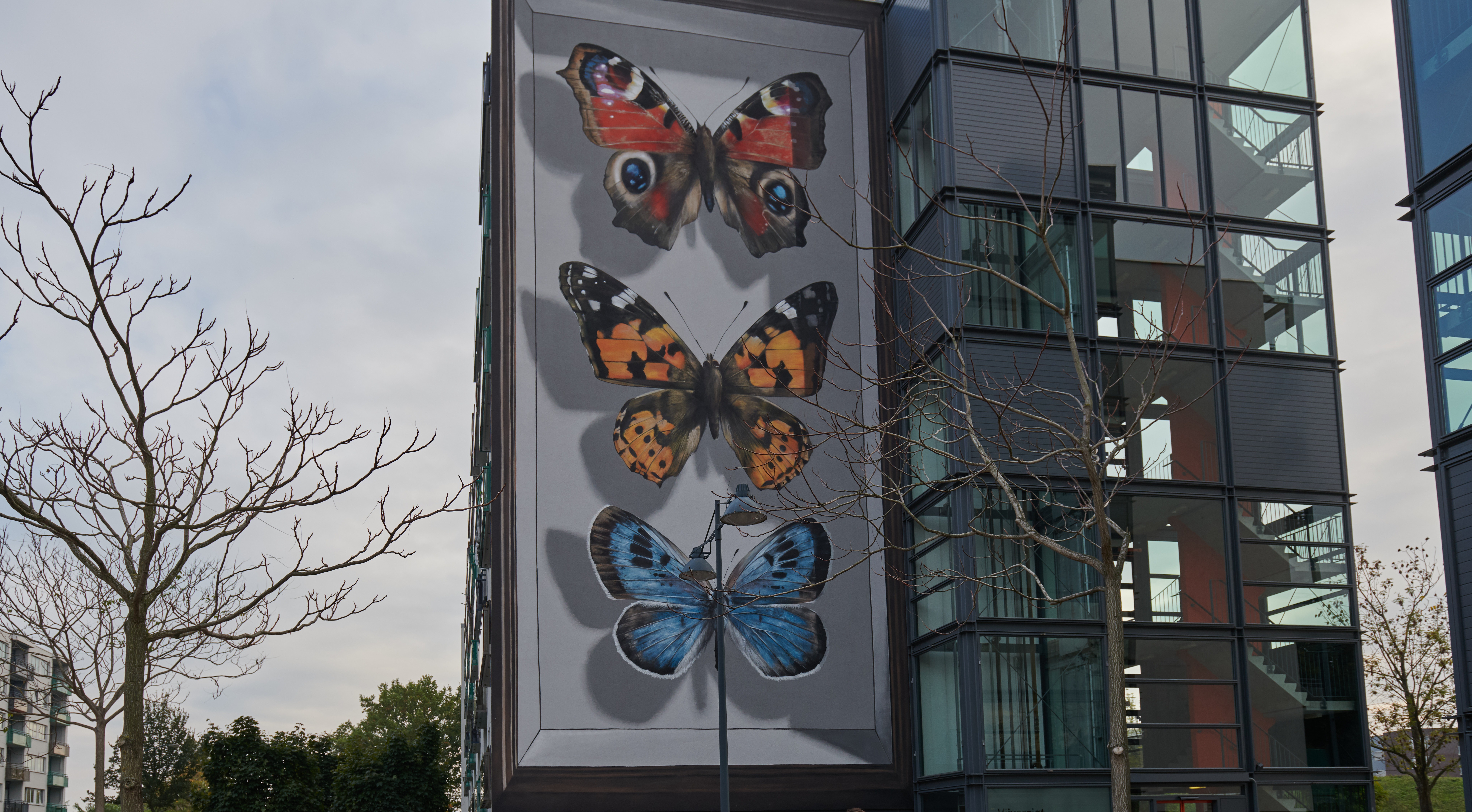 Blind Wall schildering als afronding van 750 jaar Teteringen campaign photo, 2 of 6