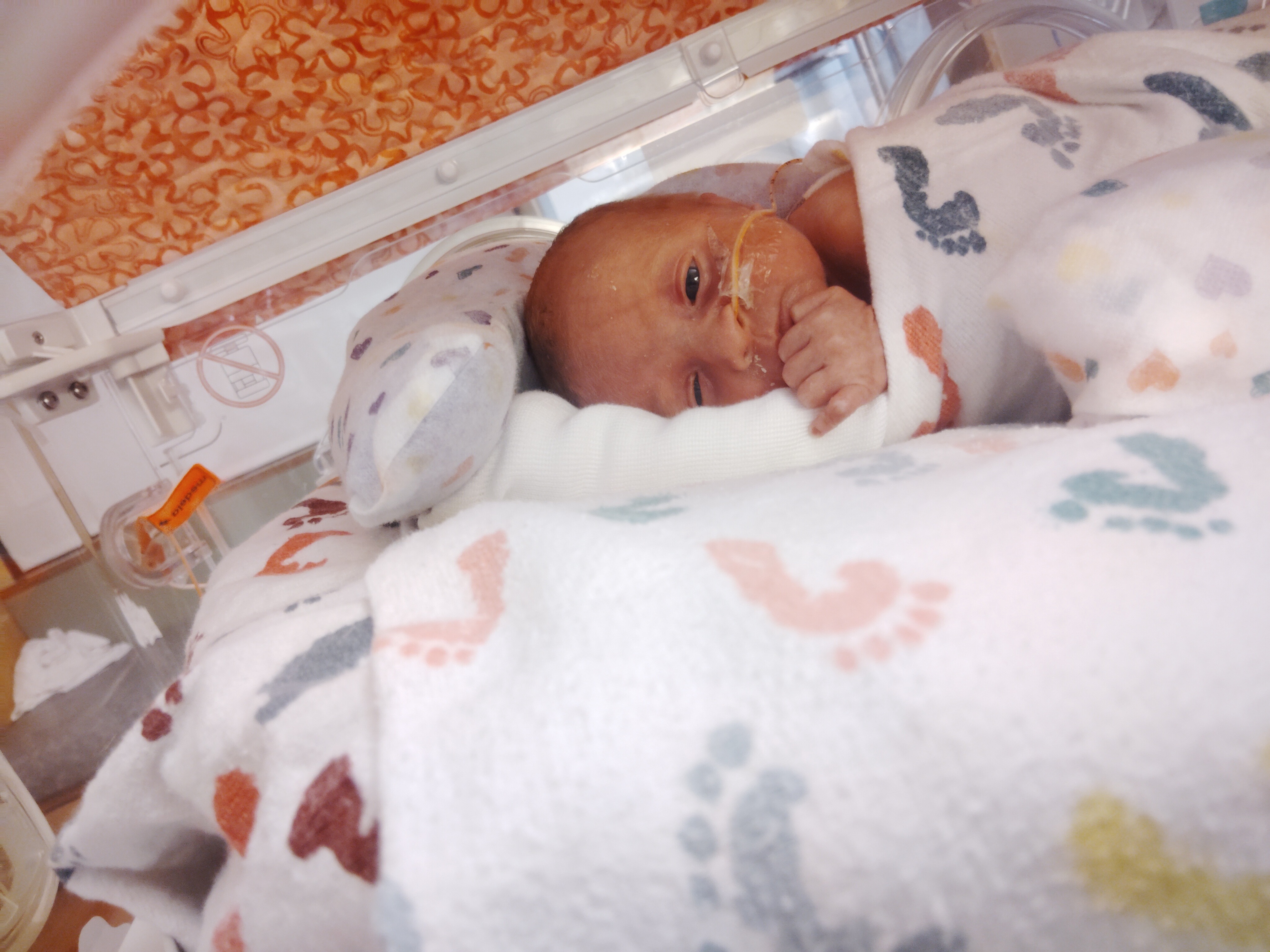 Skylar's Family Needs Your Support campaign photo, 5 of 8
